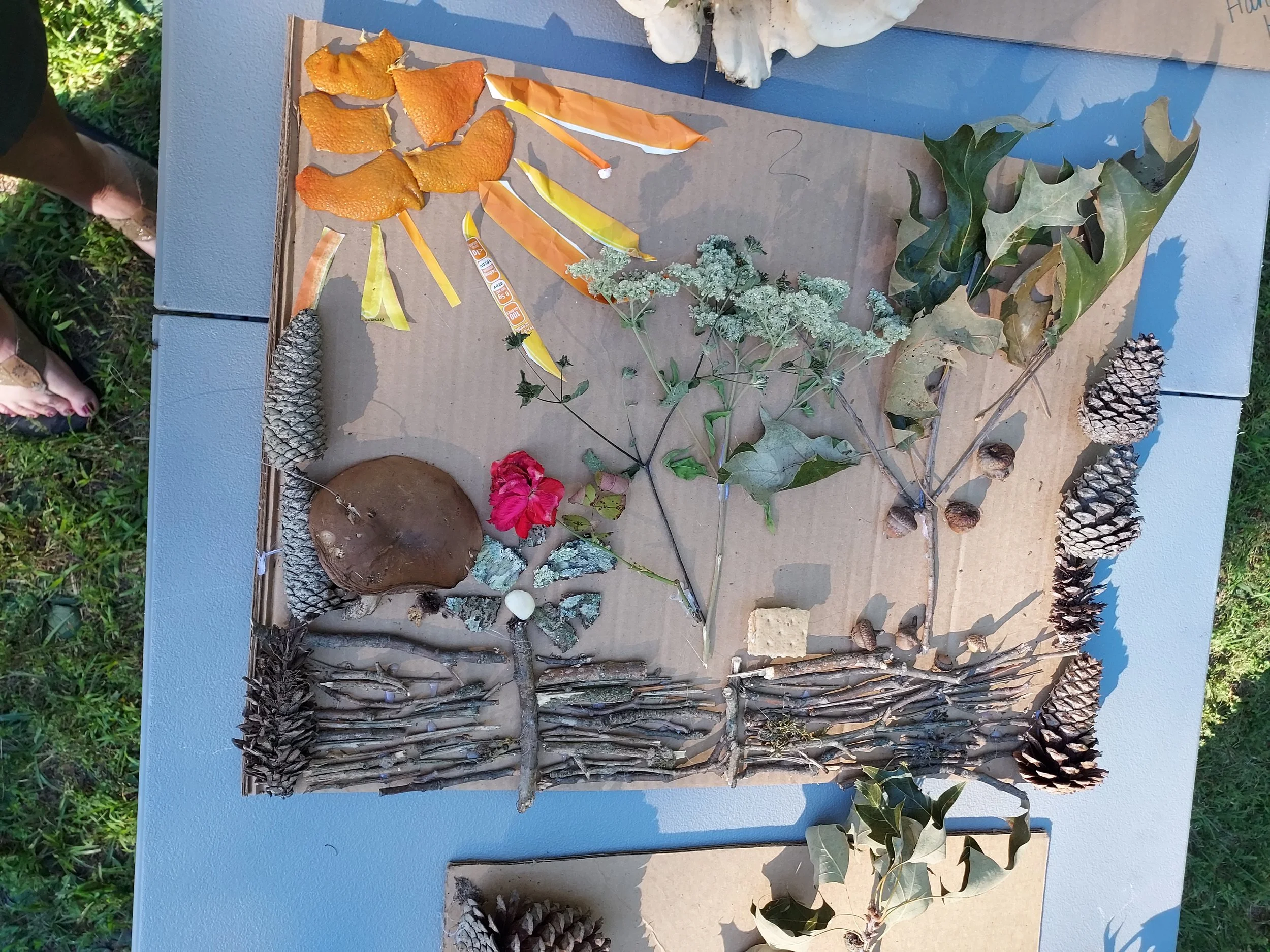 A display of natural materials such as pinecones, leaves, bark, and paper strips arranged on a surface, with some objects labeled with necklaces or small tags.