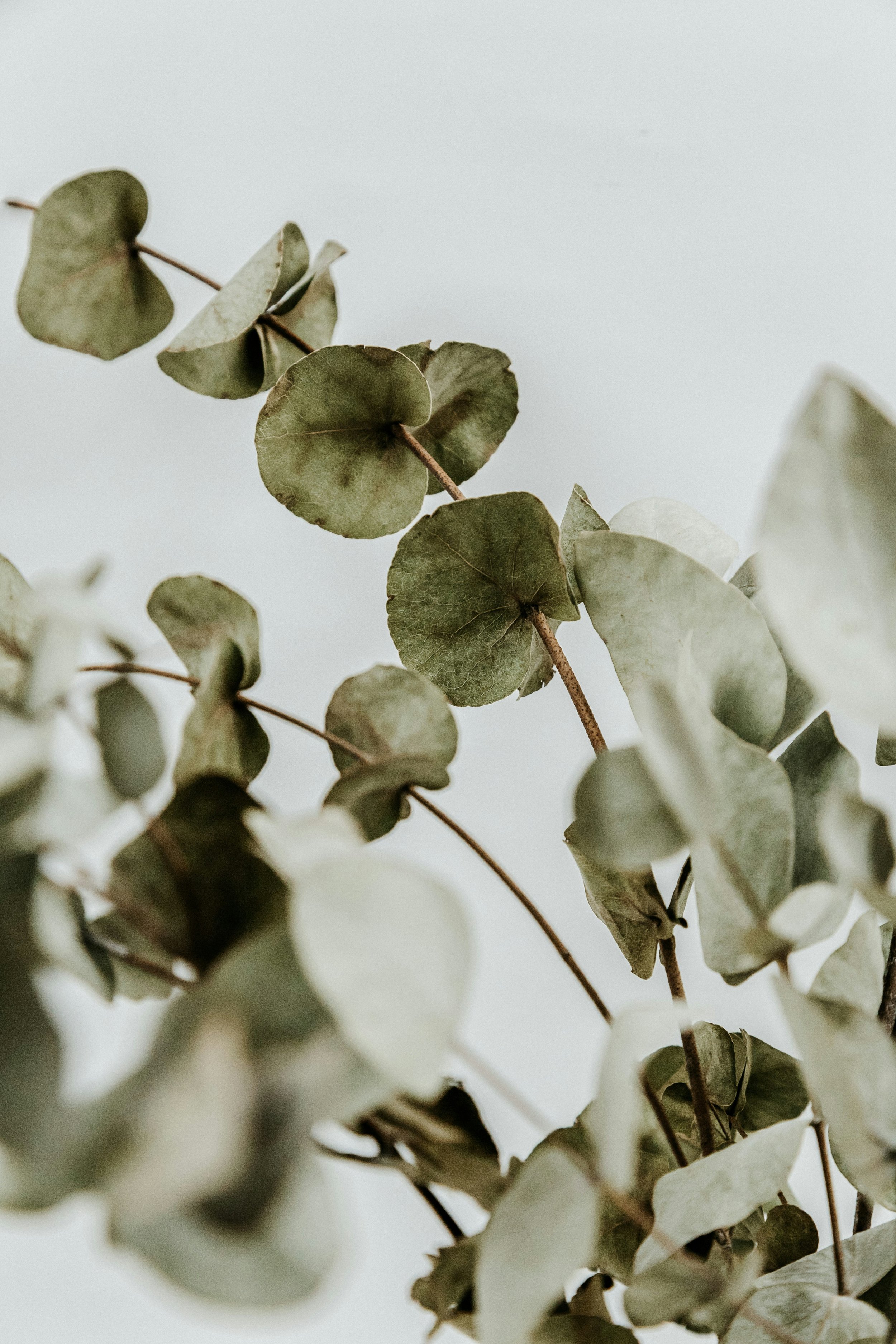 What does a trauma-competent workplace look like?
