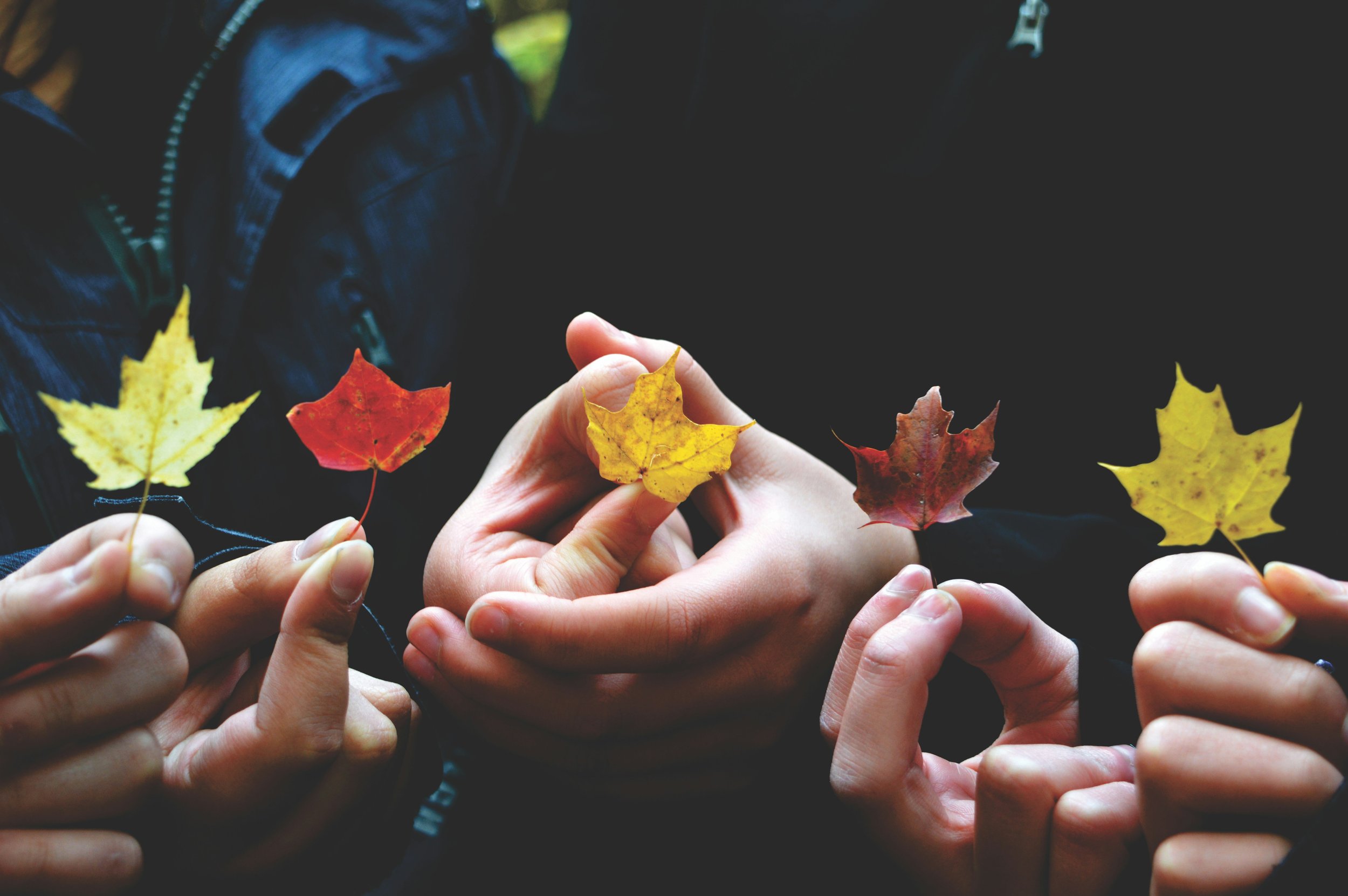 Peace is a verb