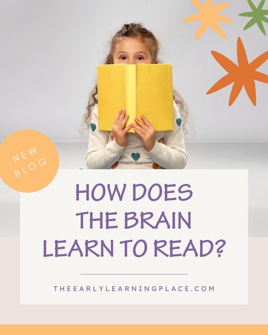 The brain's ability to absorb, process, and comprehend language is truly extraordinary! 💫⁠
⁠
🧠 Comment BRAIN to learn more!⁠
⁠
⁠
⁠
#theearlylearningplace #learntoread #learningtoread #readingandthebrain #cognitiveability #absorblanguage #processlan