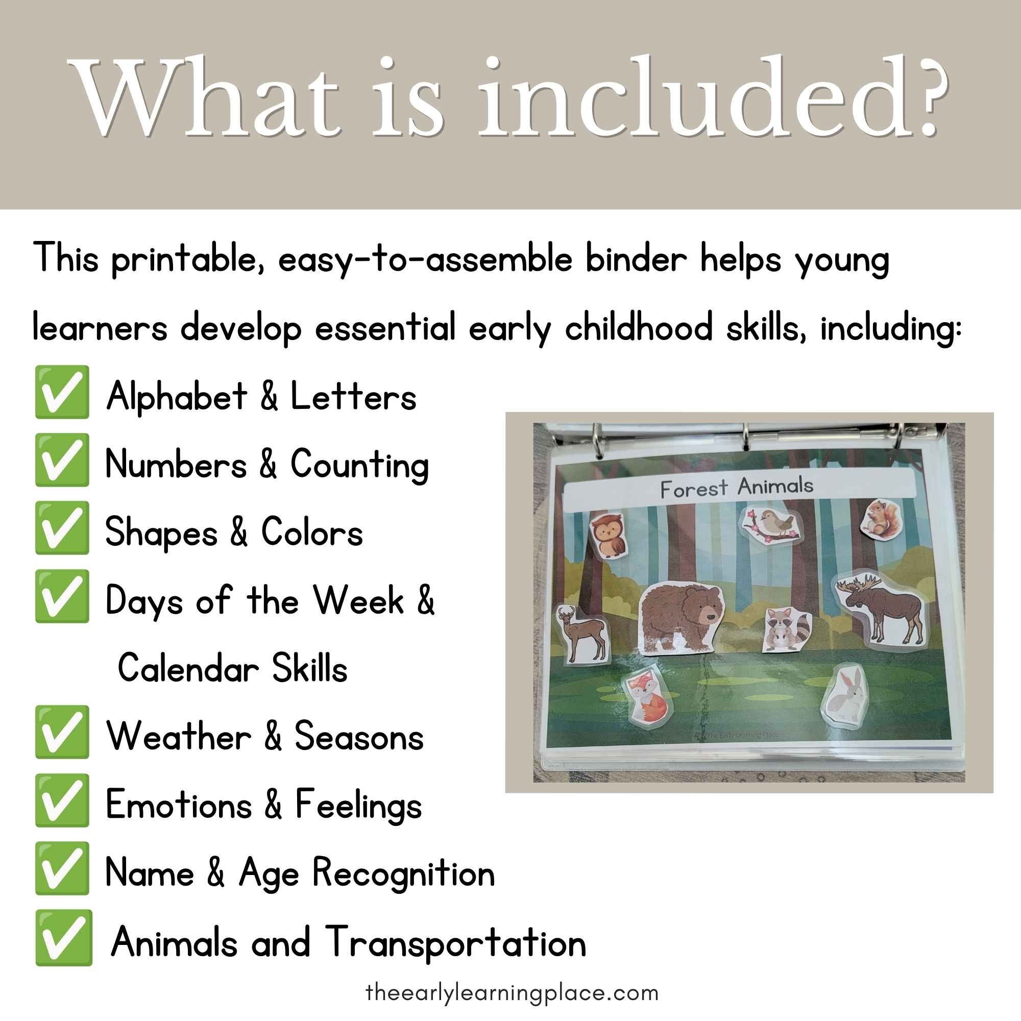 Toddler Binder Preschool Binder (5).jpg