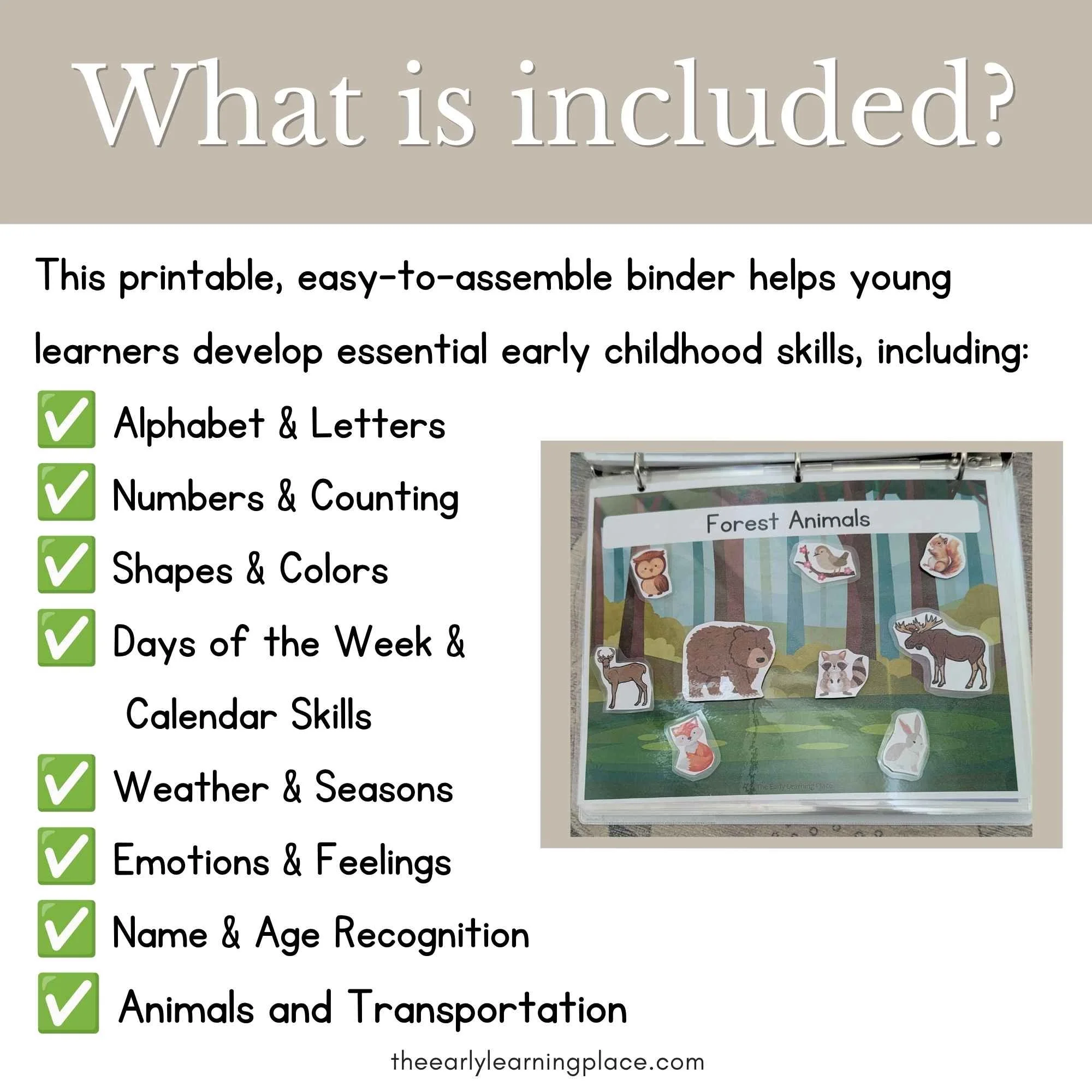 Toddler Binder Preschool Binder (5).jpg