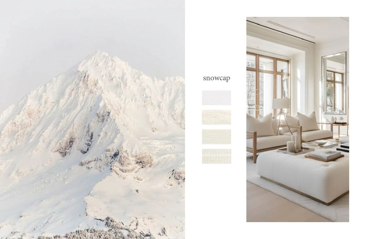 brand book concept no.1