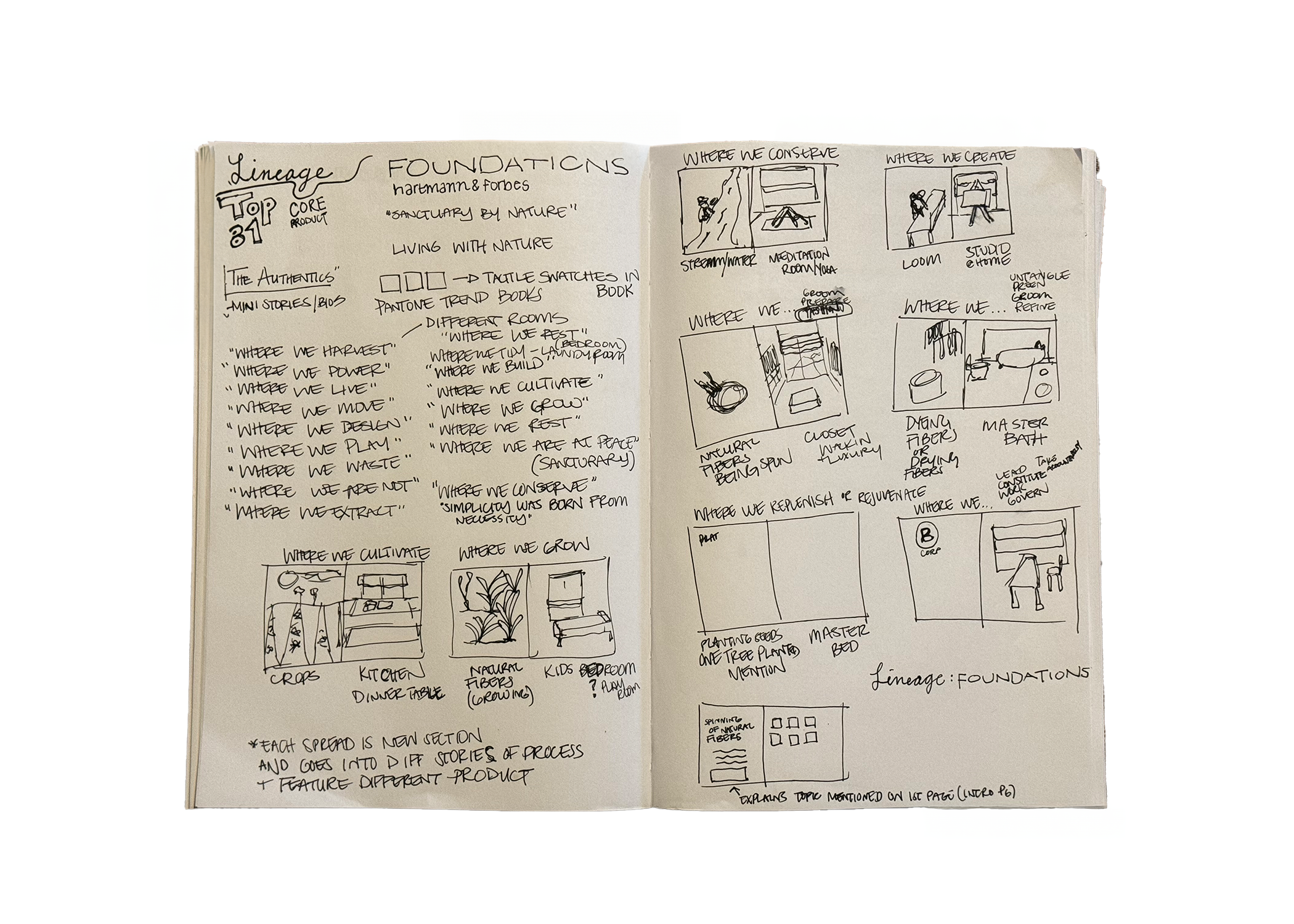 journal concept sketch