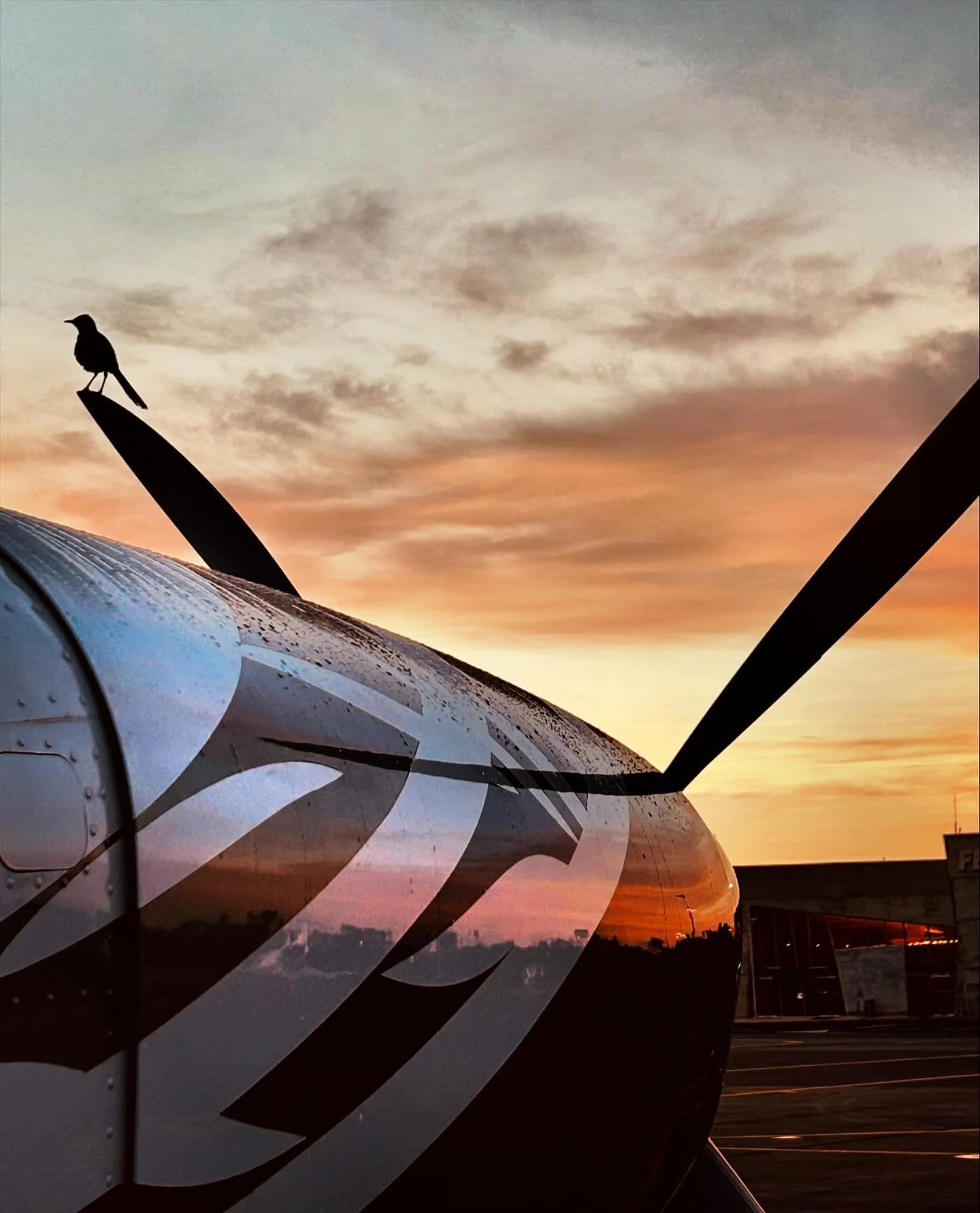 This Thanksgiving, we&rsquo;re grateful for the trust you place in us to make your journeys seamless and unforgettable. Whether you&rsquo;re just starting your journey or soaring toward your goals, we&rsquo;re proud to be part of your path to becomin