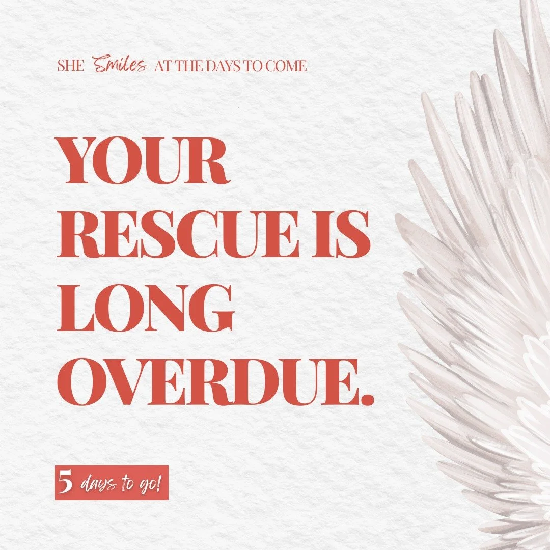 Will you welcome a release from captivity? Your rescue is long overdue. These words still grip my heart. Freedom has been calling your name for years.

Only 5 days left!

#NewBook #Launching #5daystogo #SheSmilesAtTheDaysToCome