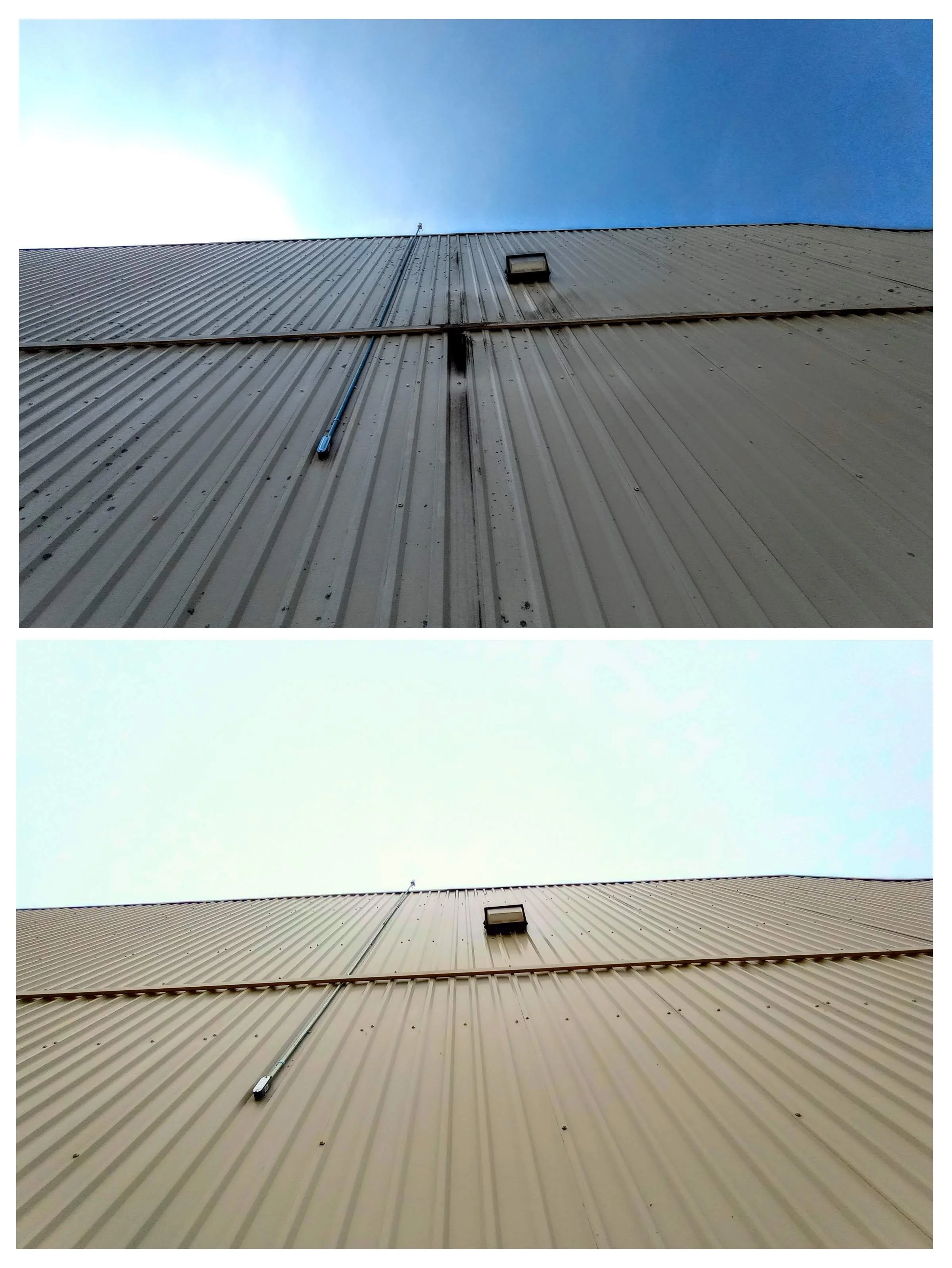 20230429_154613-COLLAGE.jpg