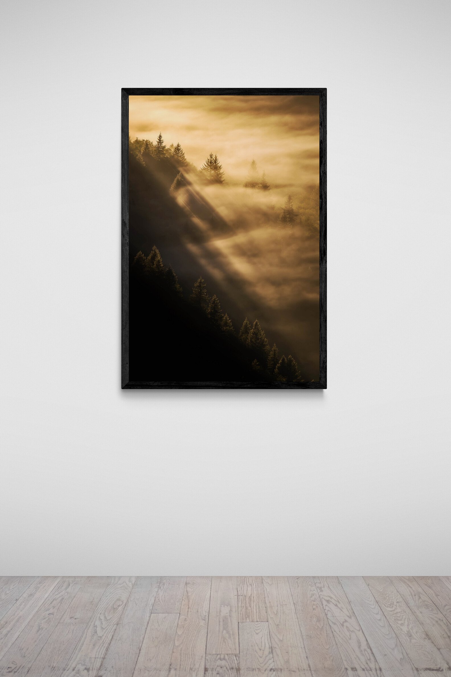spotlit-art-gallery-wall (5).jpg