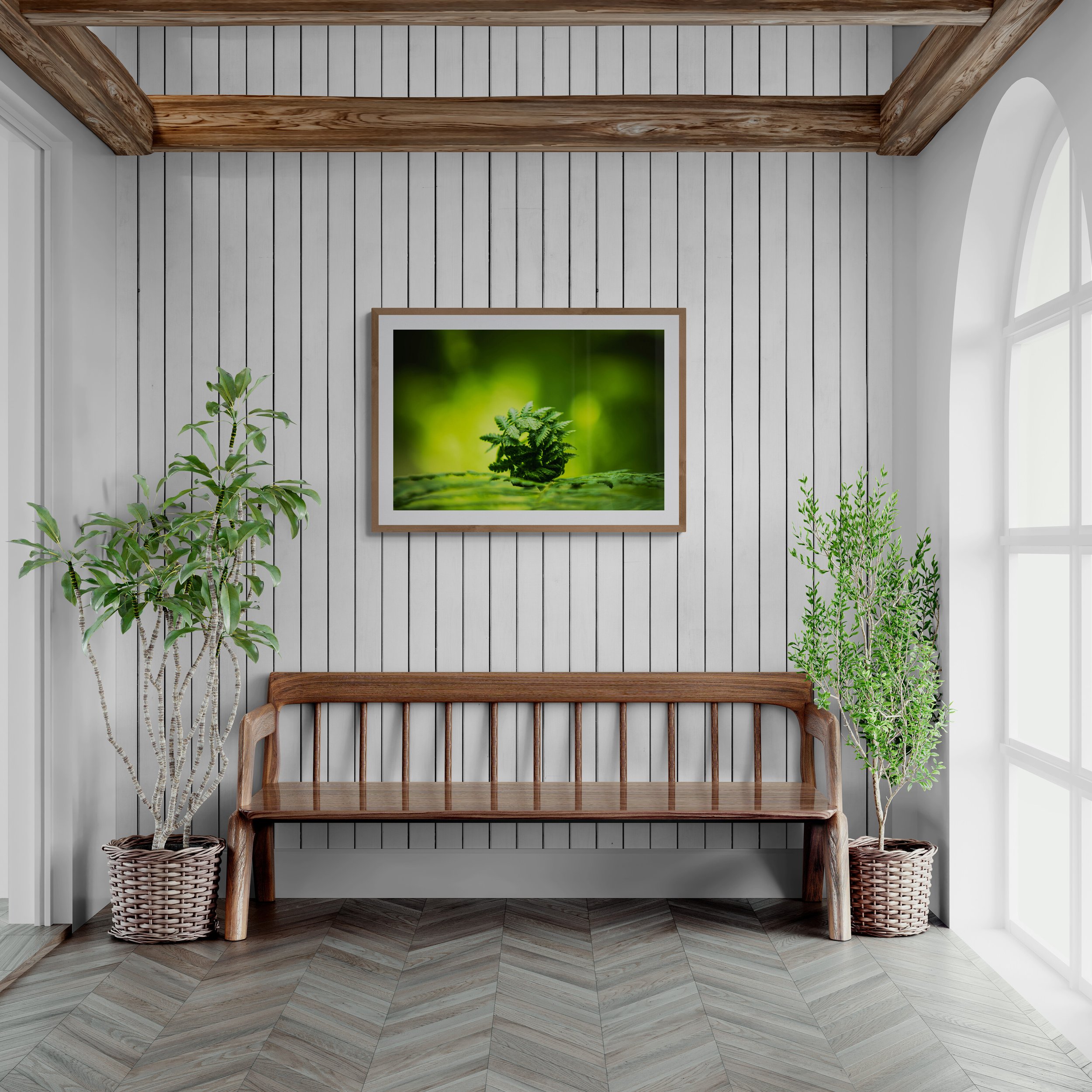 sunlit-room-with-a-wooden-bench-seat.jpg