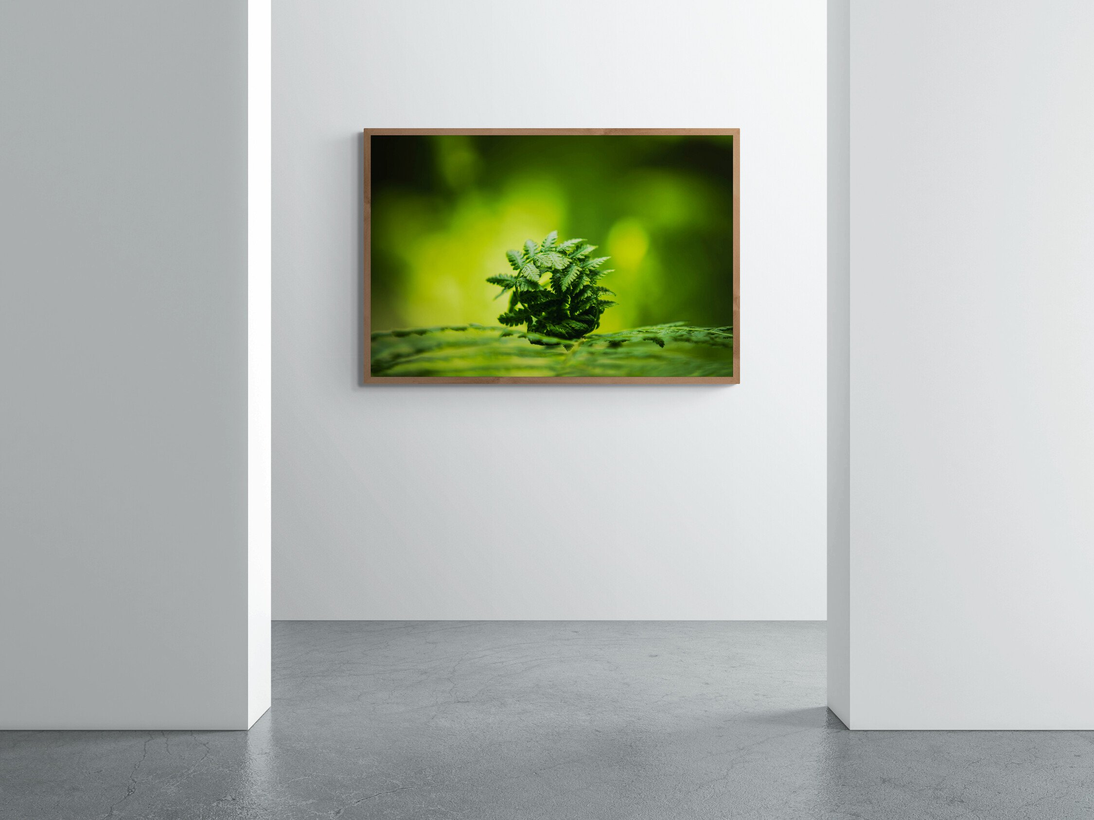 art-gallery-corridor-wall.jpg