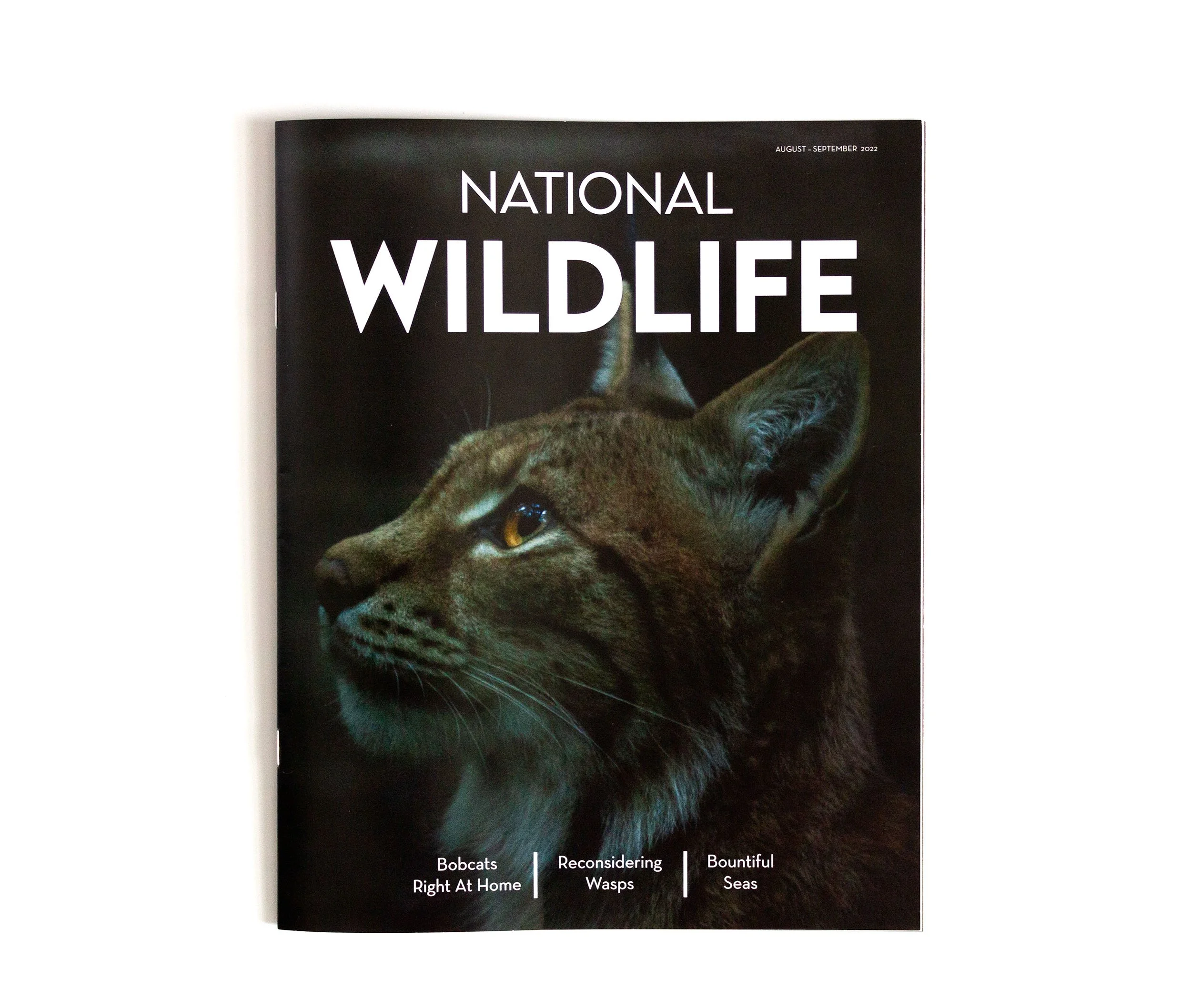 NatWil_cover.jpg