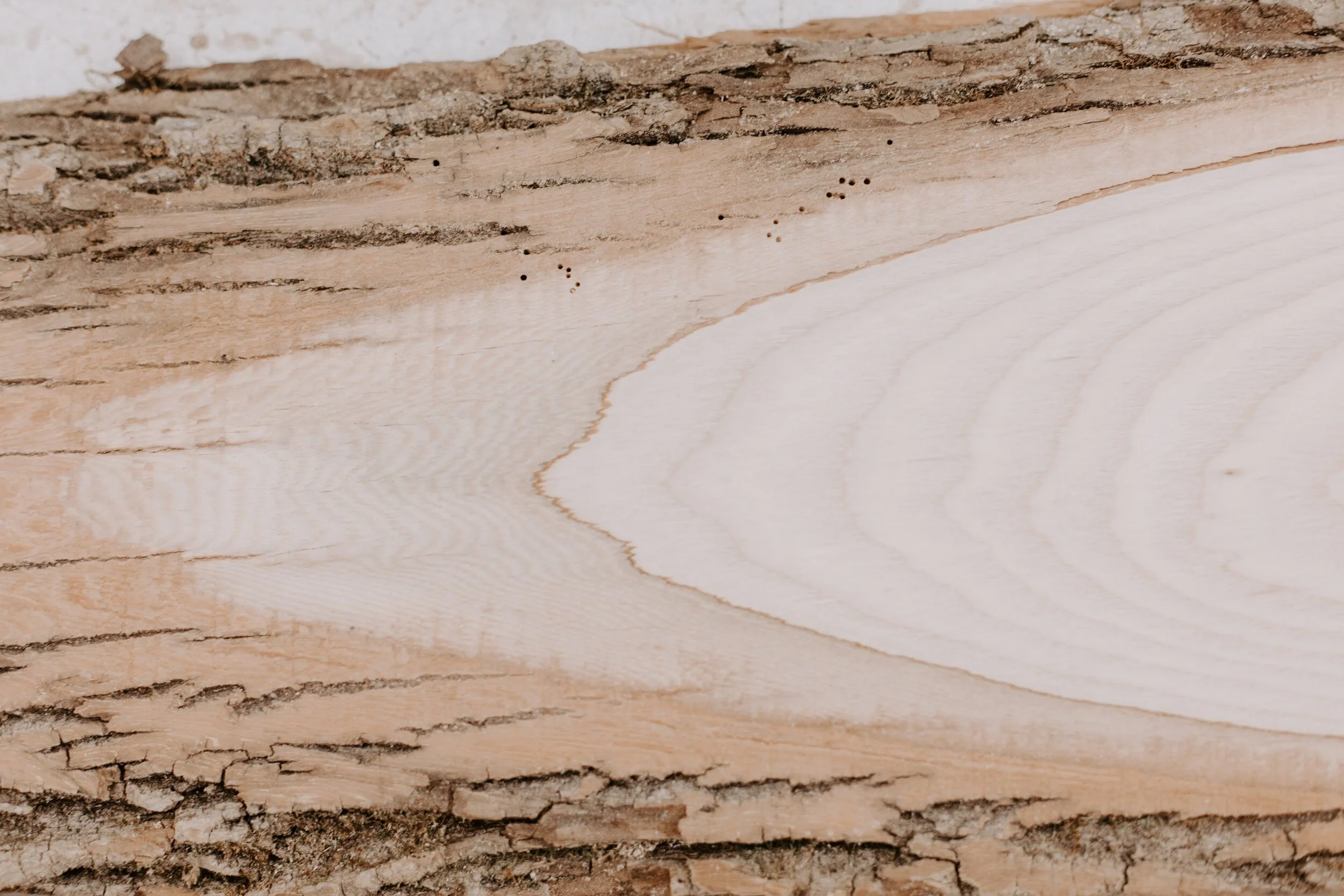 Ontario Live Edge Wood