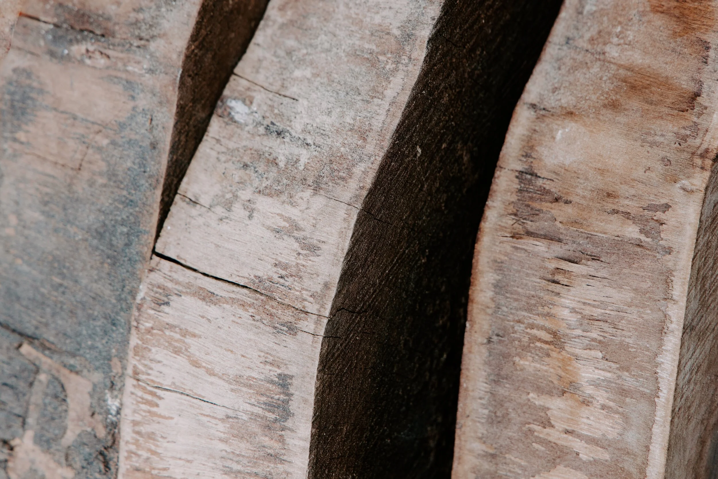 Toronto Live Edge Wood