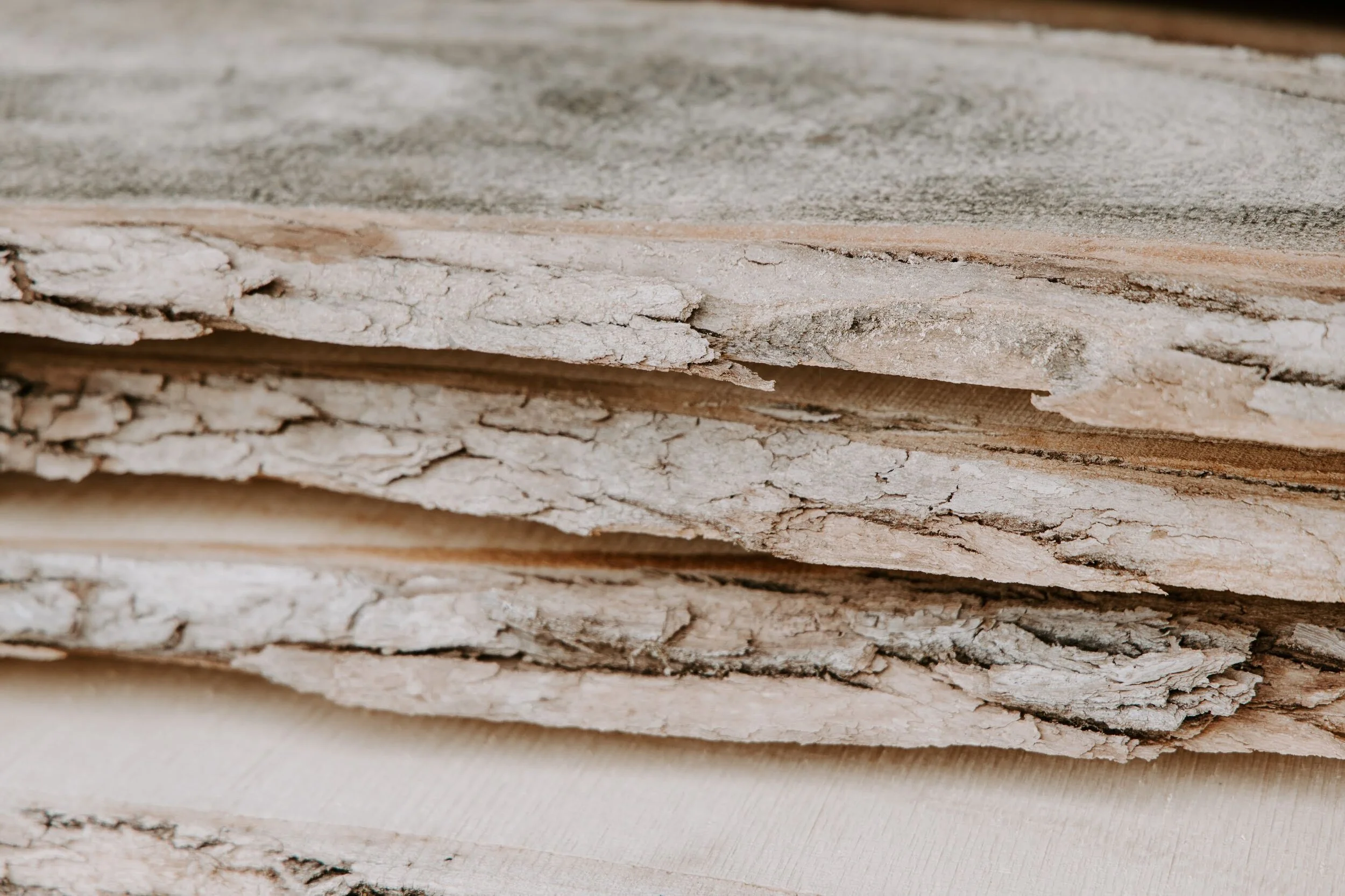 Collingwood Live Edge Furniture 