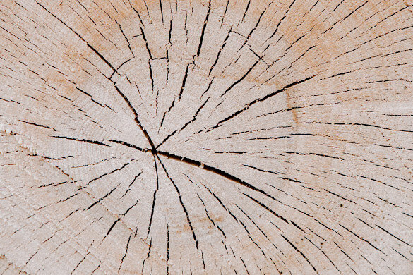 Live Edge Furniture 