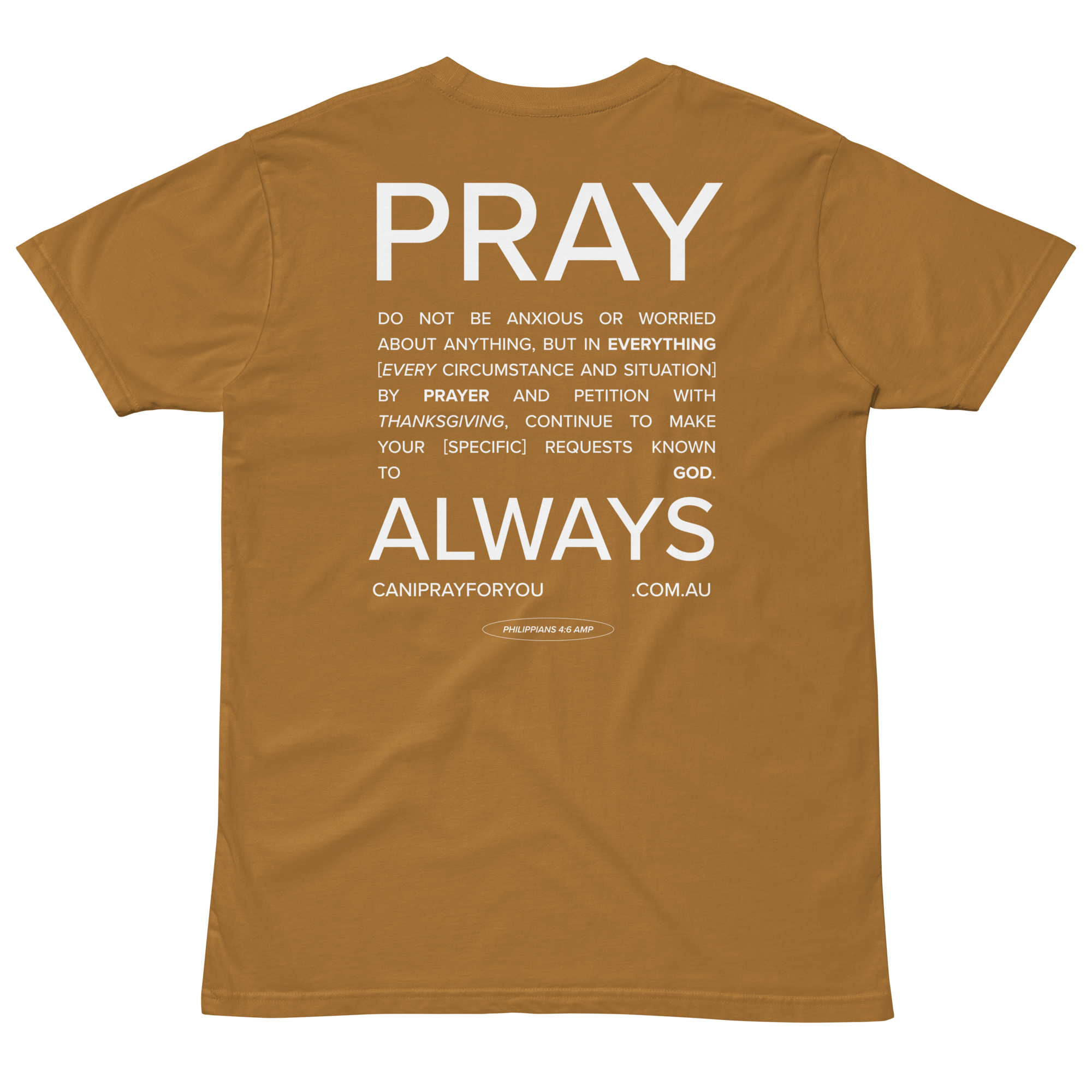 mens-staple-t-shirt-camel-back-65bb2b1e2bbdd.png