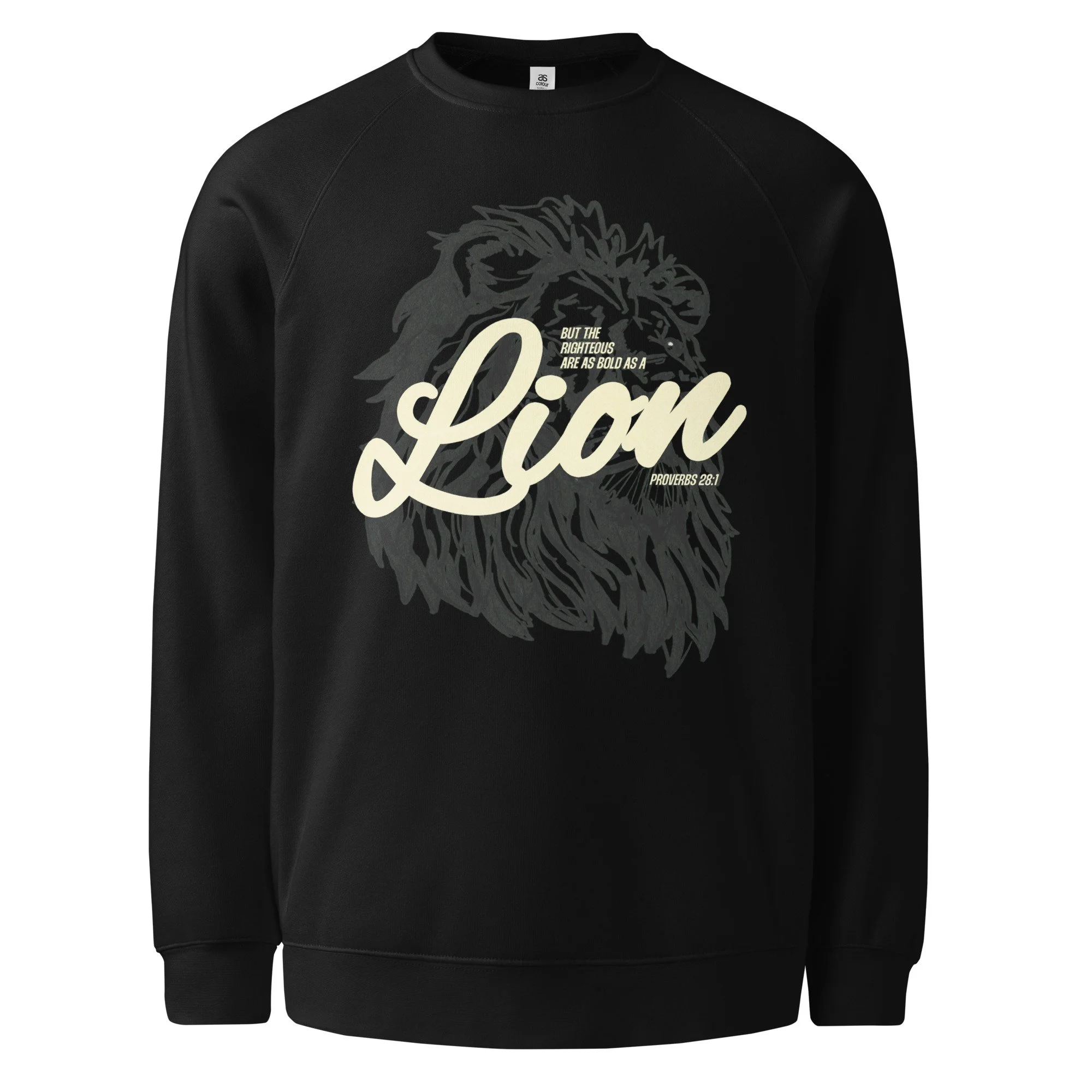 unisex-raglan-sweatshirt-black-front-683ef453b97fc.jpg