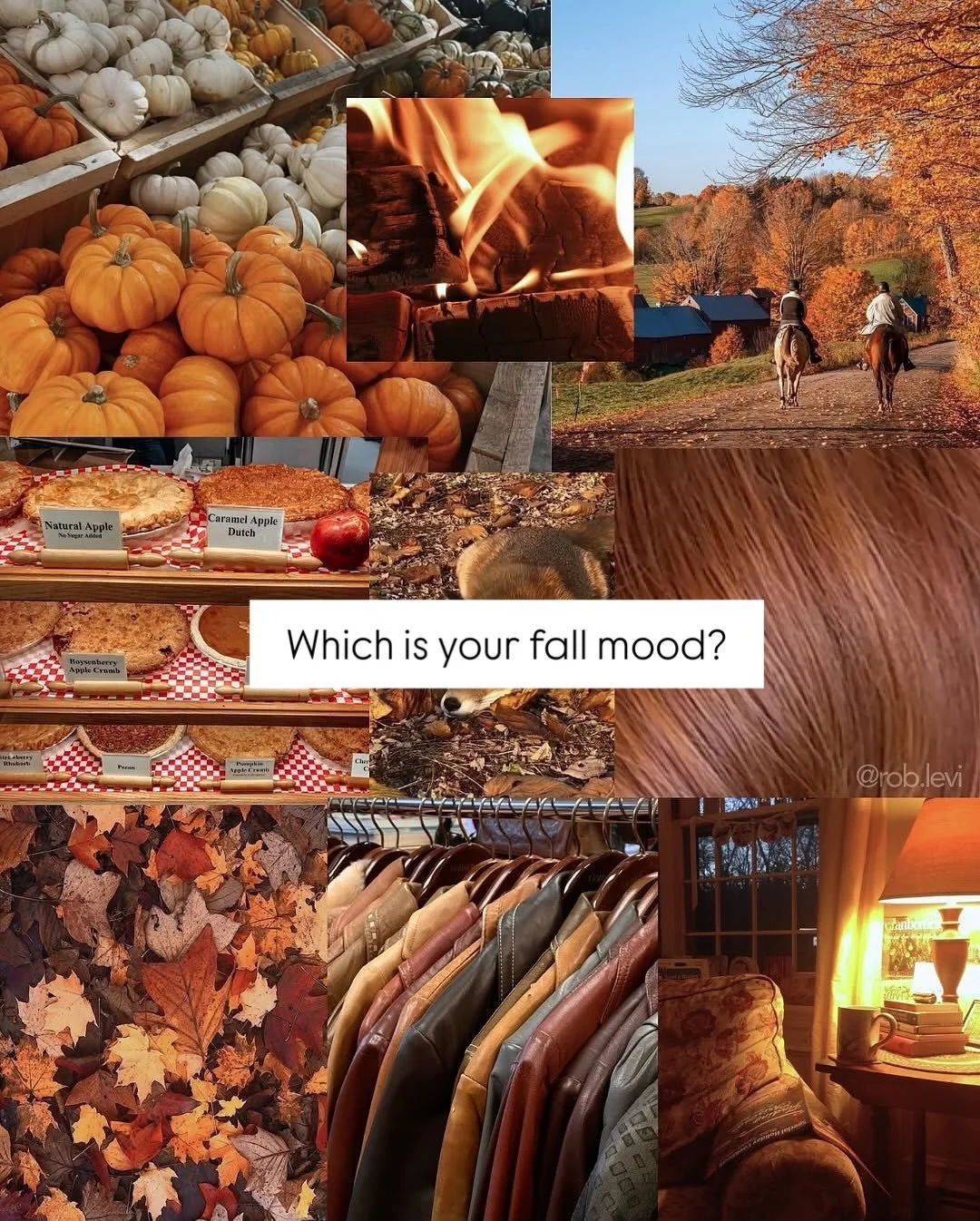 So hard to choose 🍂 mood board feels we had to share from our friends @behindthechair_com 
Which will be yours? 
.
.
.
#salonhalobettendorf #quadcities #bettendorfiowa #bettendorfsalon #quadcitieshairstylist #fallhairtrends #fallmood
