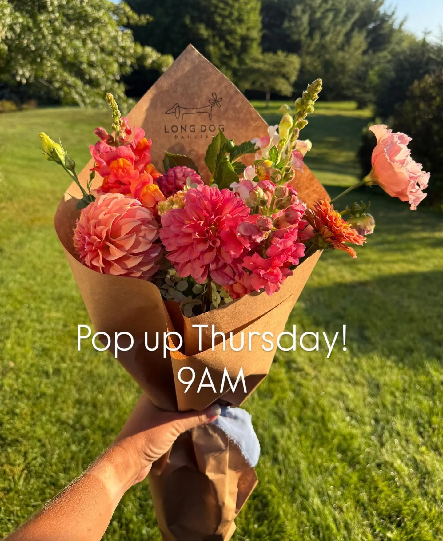 You can buy yourself flowers 💐 Thursday 9AM @longdogdahlias is back one more time! Treat yourself or surprise your neighbor💐 Truly the prettiest flowers you ever did see! 

$25.00 - they will go quick!

#quadcities #bettendorfiowa #qcsalon #localsl