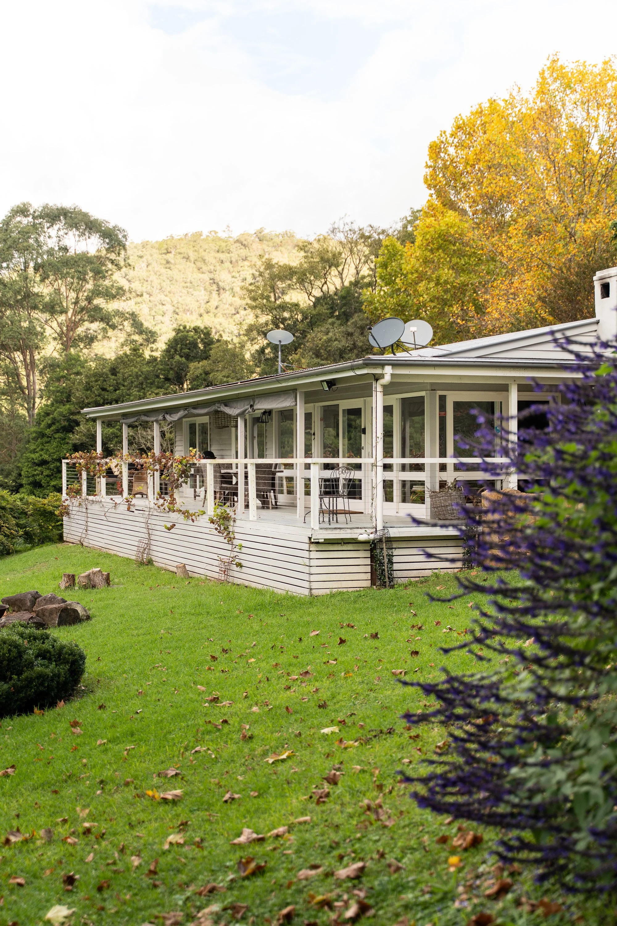 Cedar Tree Farm-12.jpg