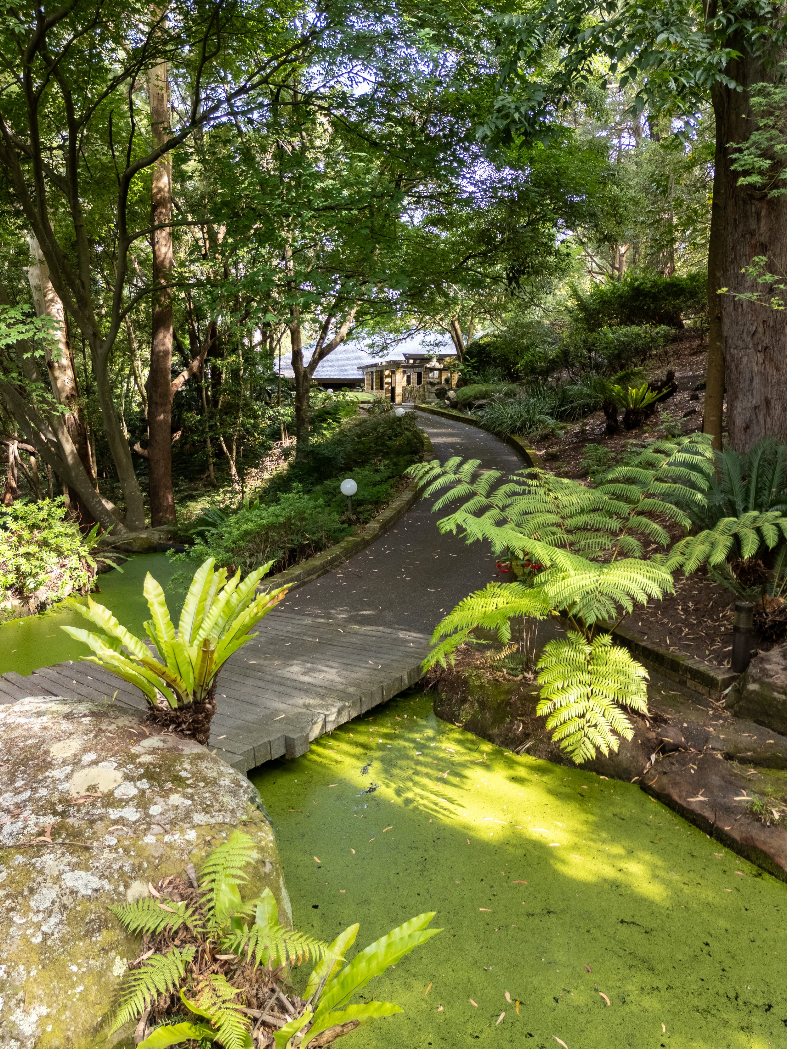 Mt Pleasant - Train House extra-19.jpg