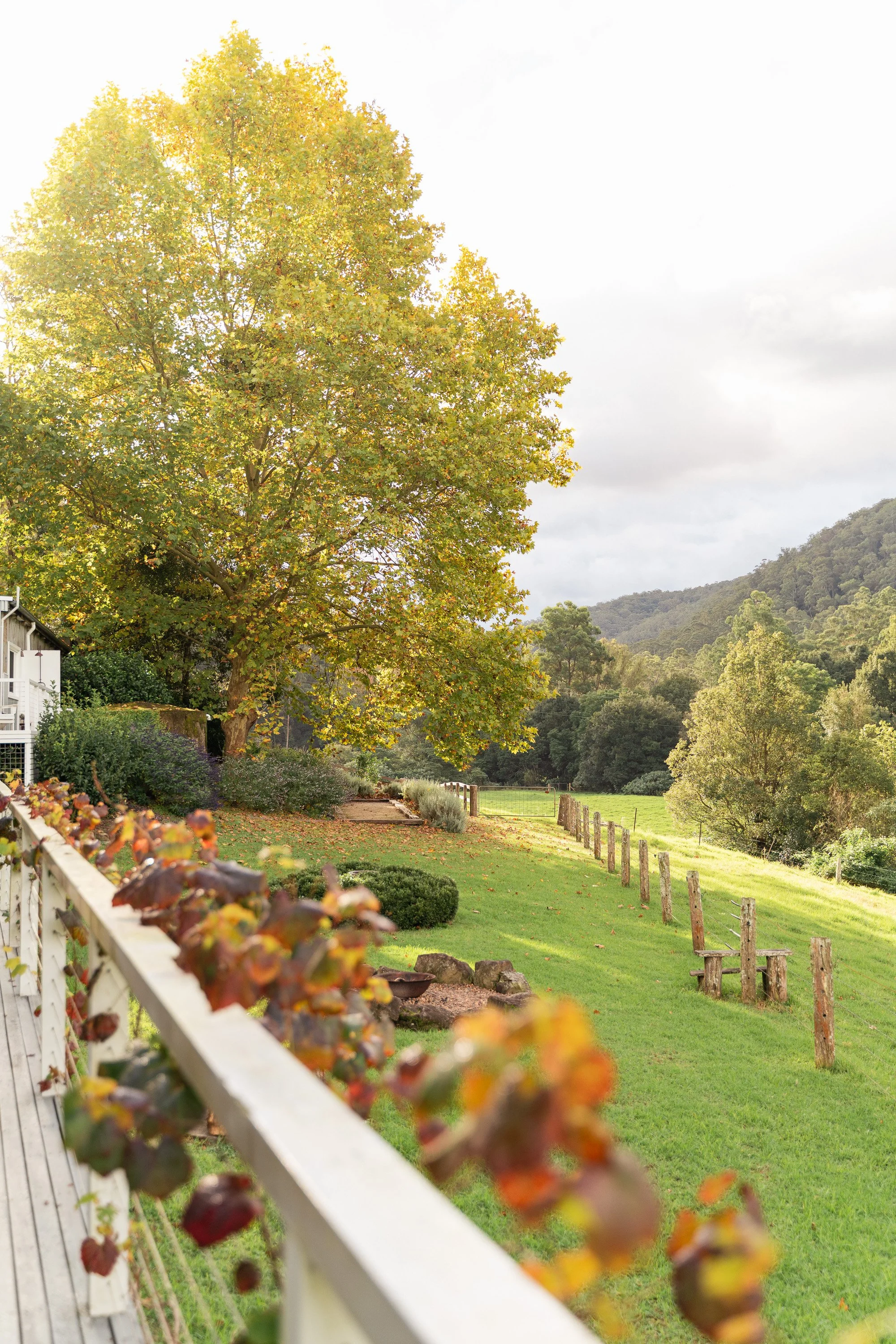 Cedar Tree Farm-15.jpg