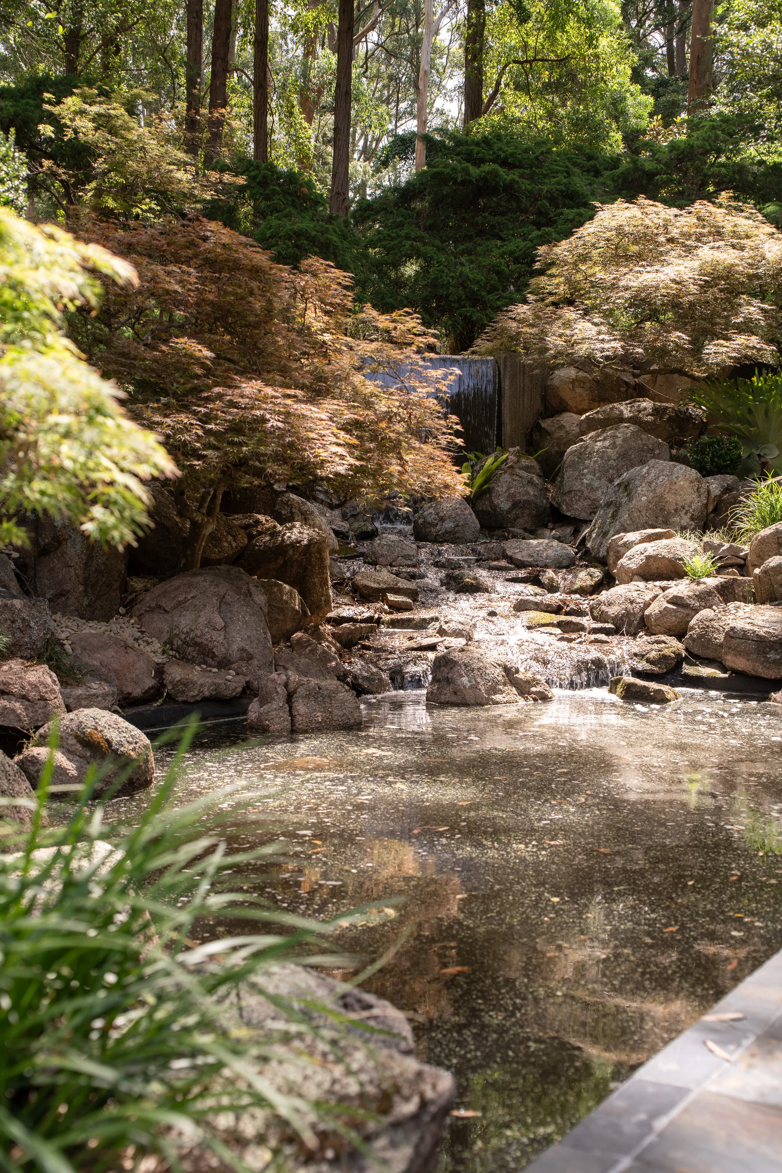 Mt Pleasant - Train House extra-5.jpg