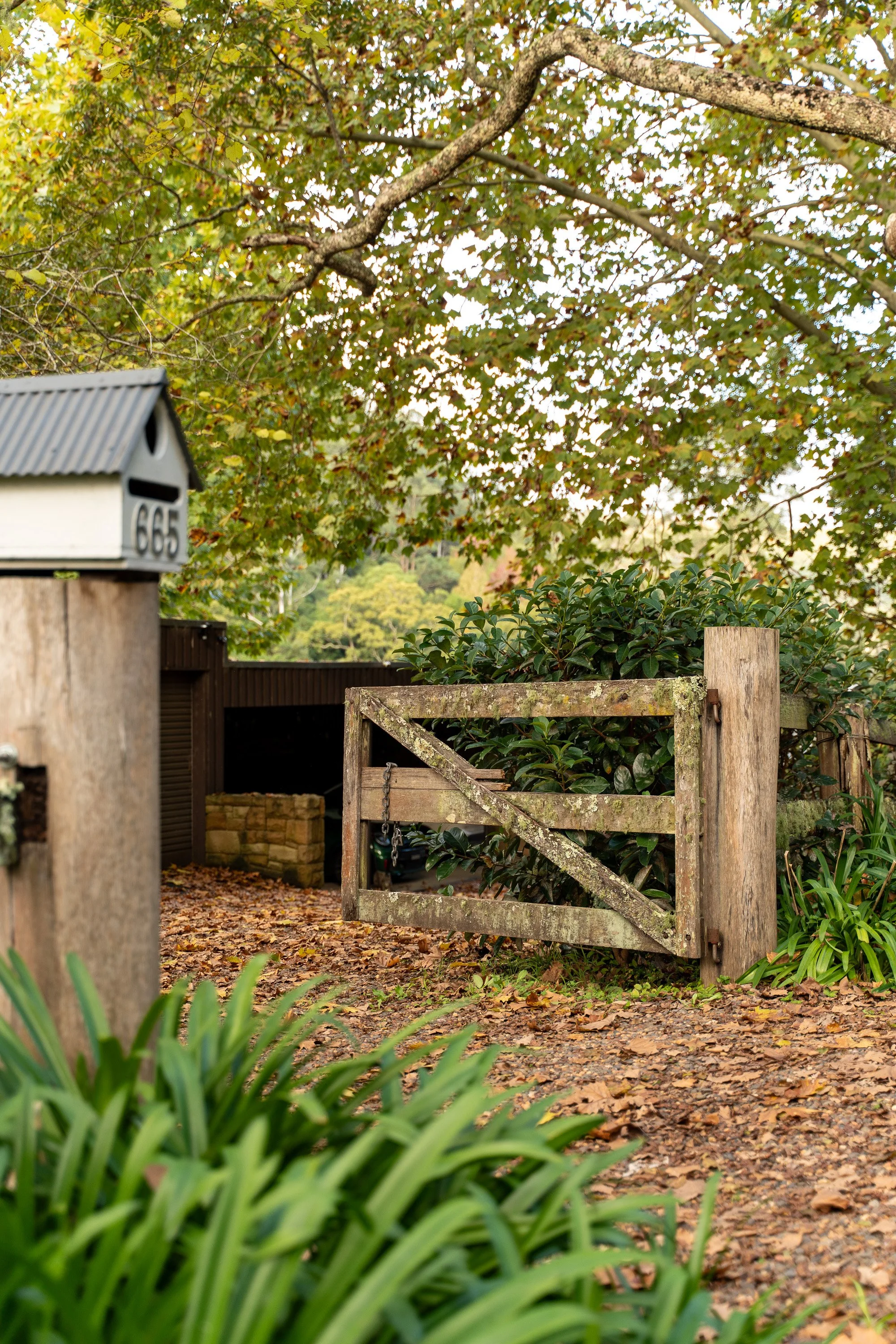 Cedar Tree Farm-28.jpg