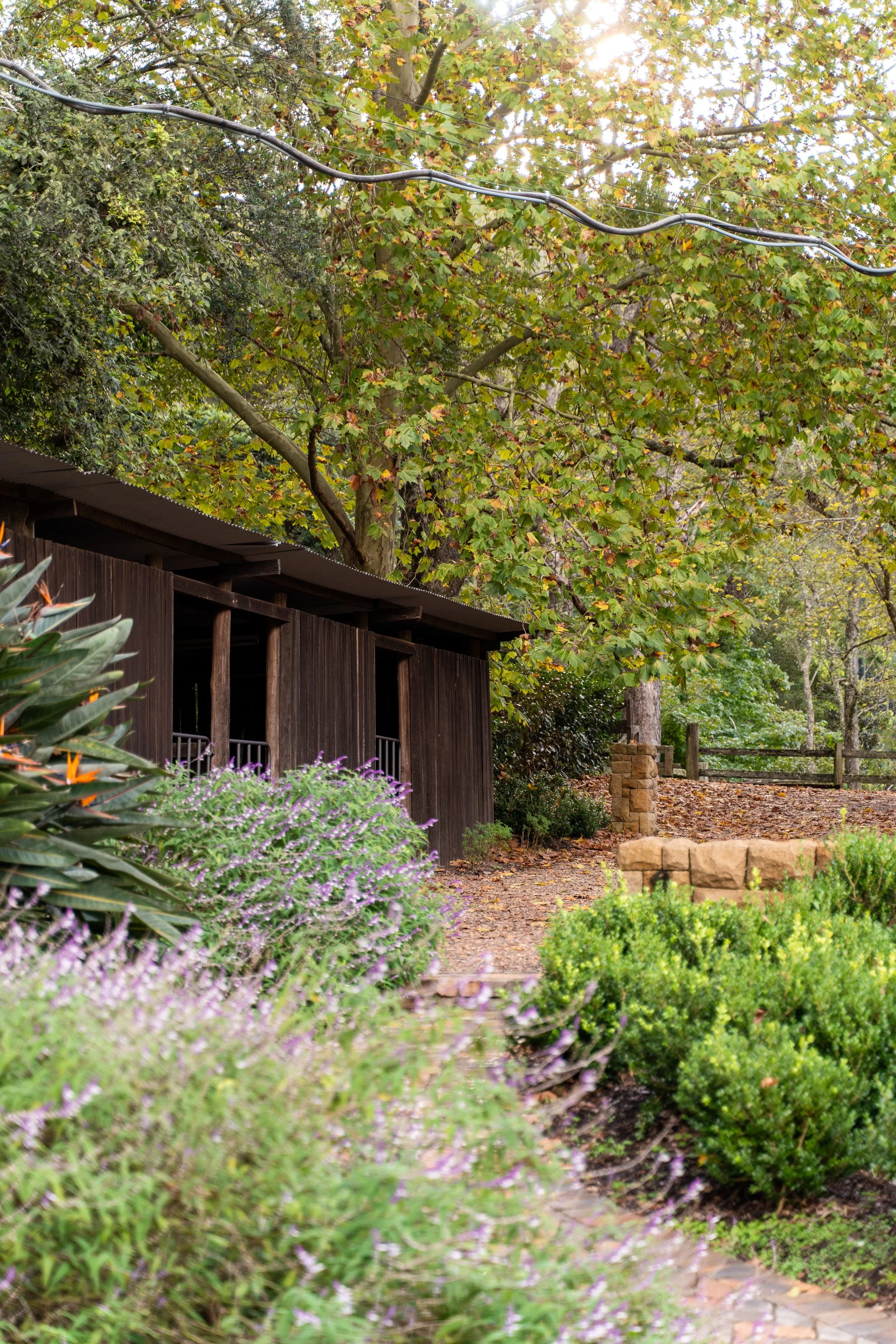 Cedar Tree Farm-25.jpg