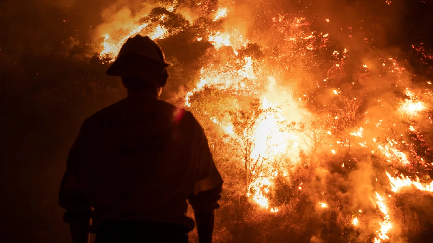 Case Study - Bushfire Ready — JLCA