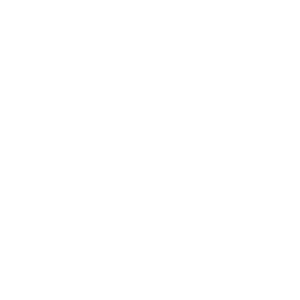 Ozone Services Group