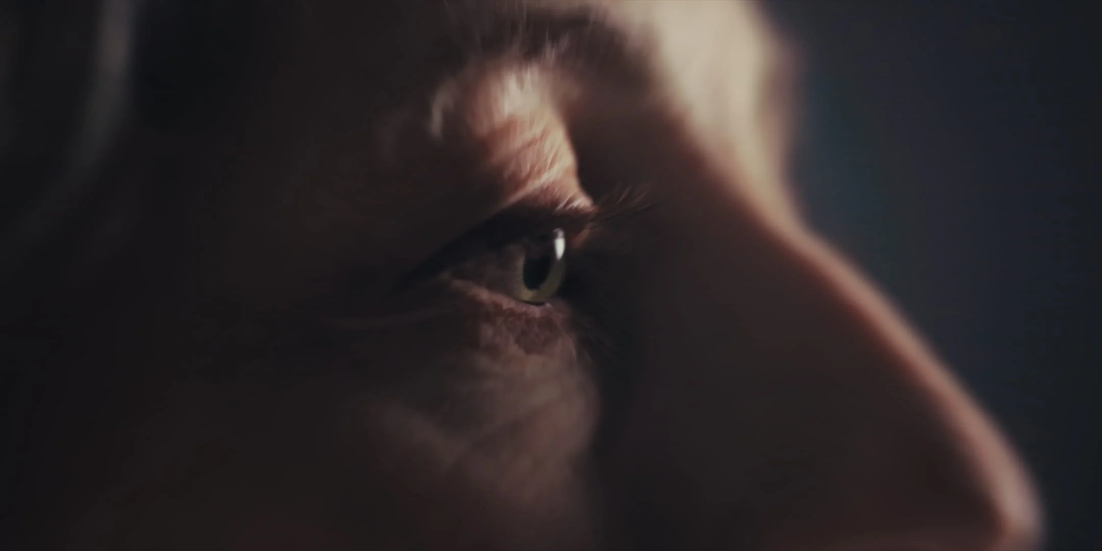 Still 2026-01-21 170121_4.1.22.jpg