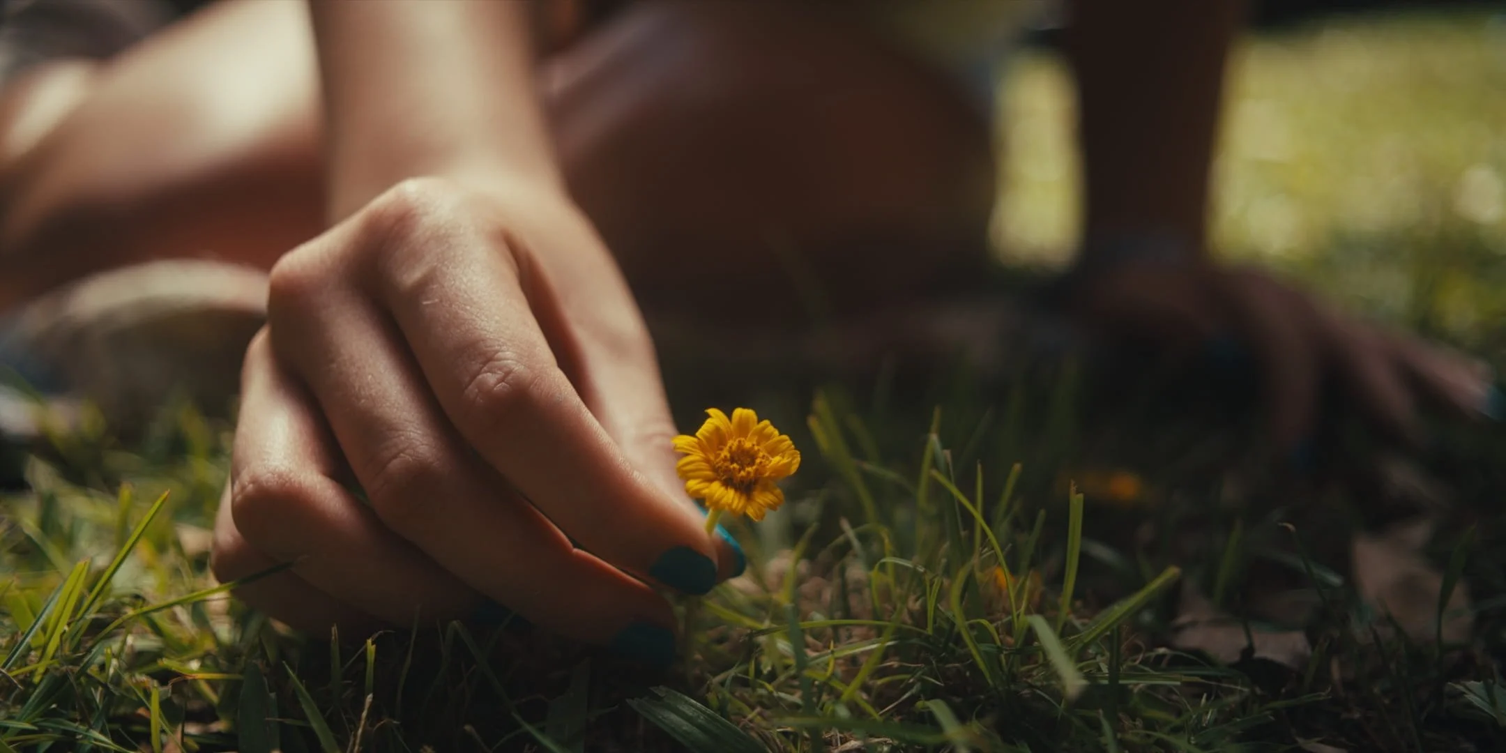 Still 2026-01-21 171438_4.1.6.jpg