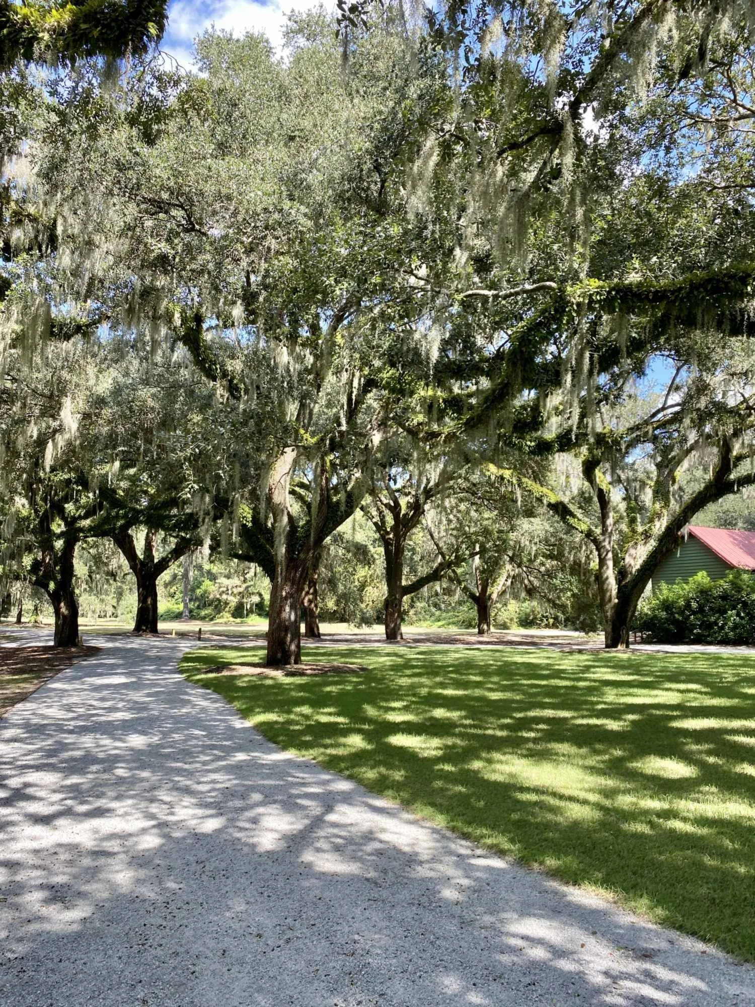Path under live oaks at McLeod Plantation Historic Site on James Island, Charleston SC
