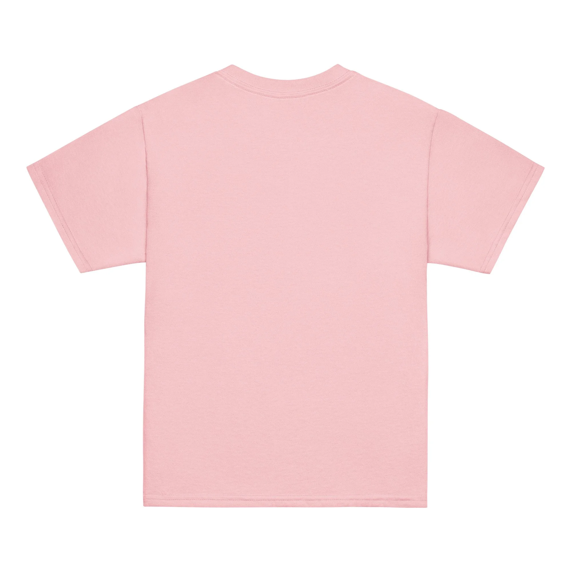 youth-classic-tee-light-pink-back-69902a5e718d5.jpg
