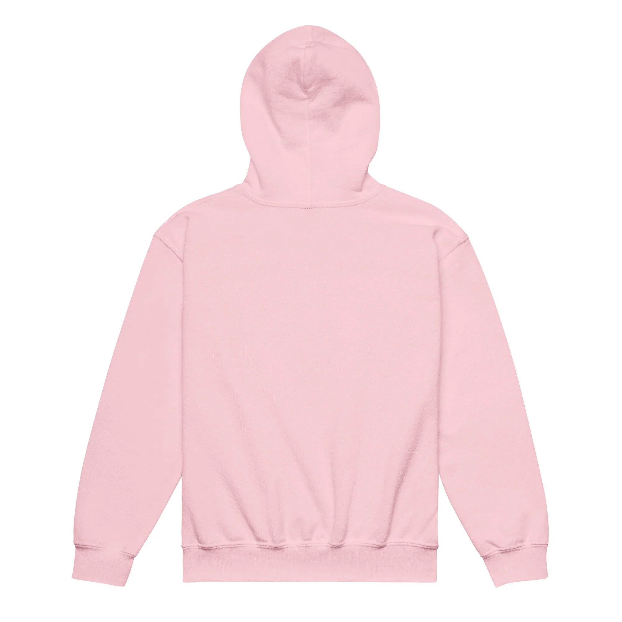 youth-heavy-blend-hoodie-light-pink-back-69917626807f9.jpg