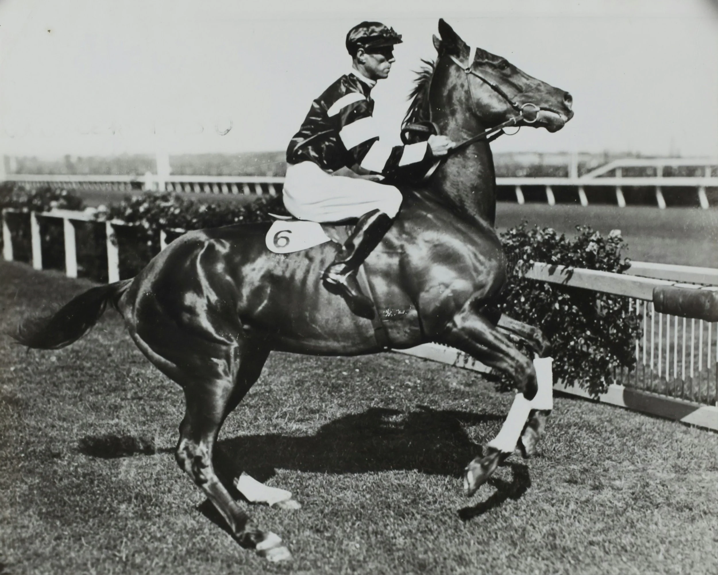 Melbourne Cup 2025