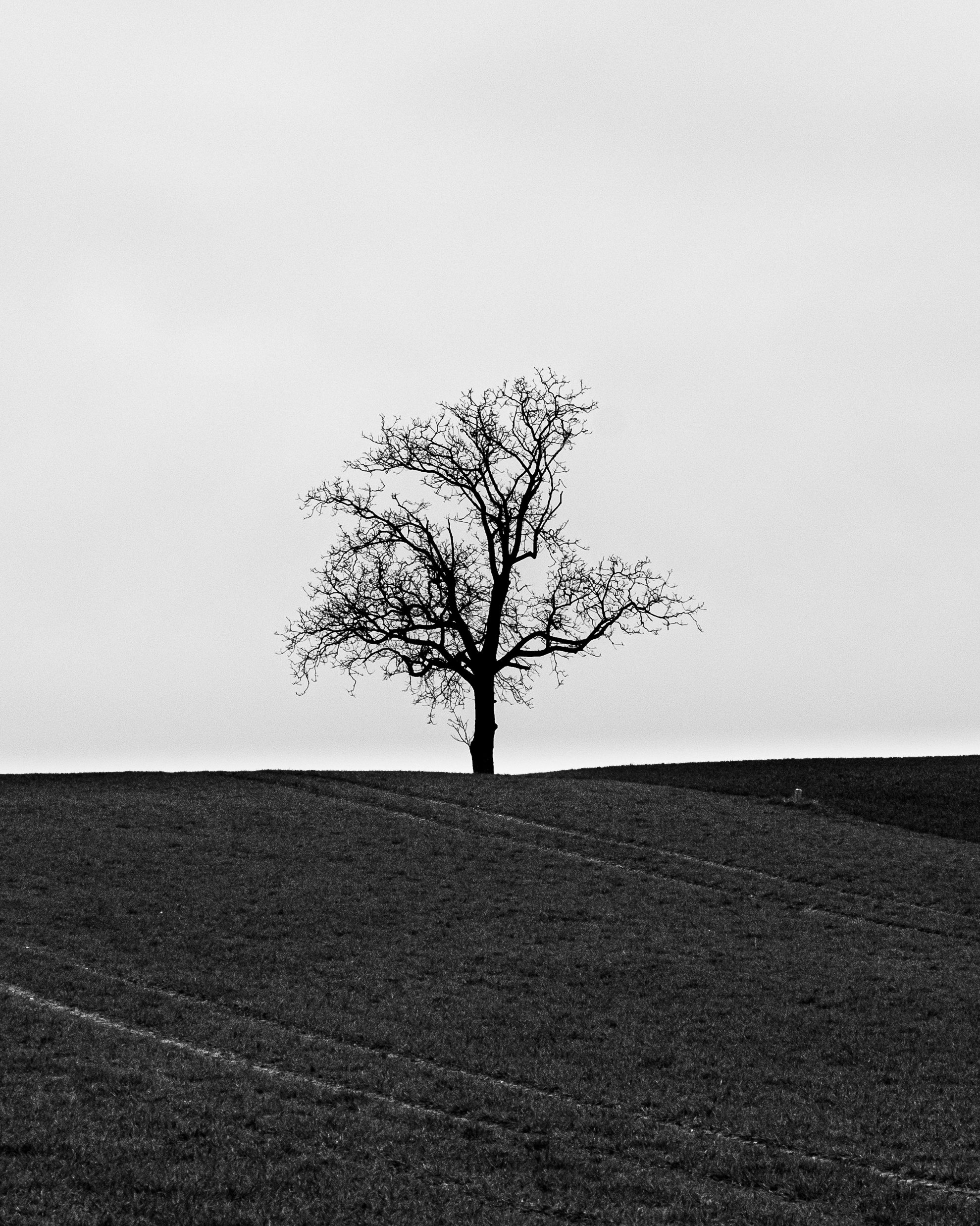 Rainy day in France