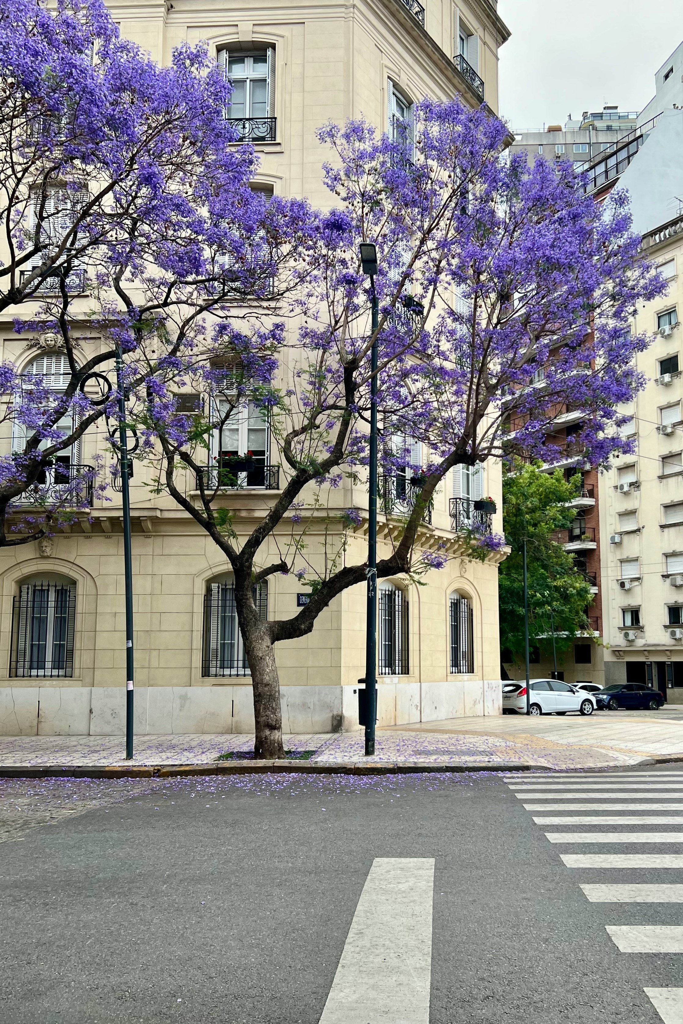 buenosaires9.jpeg