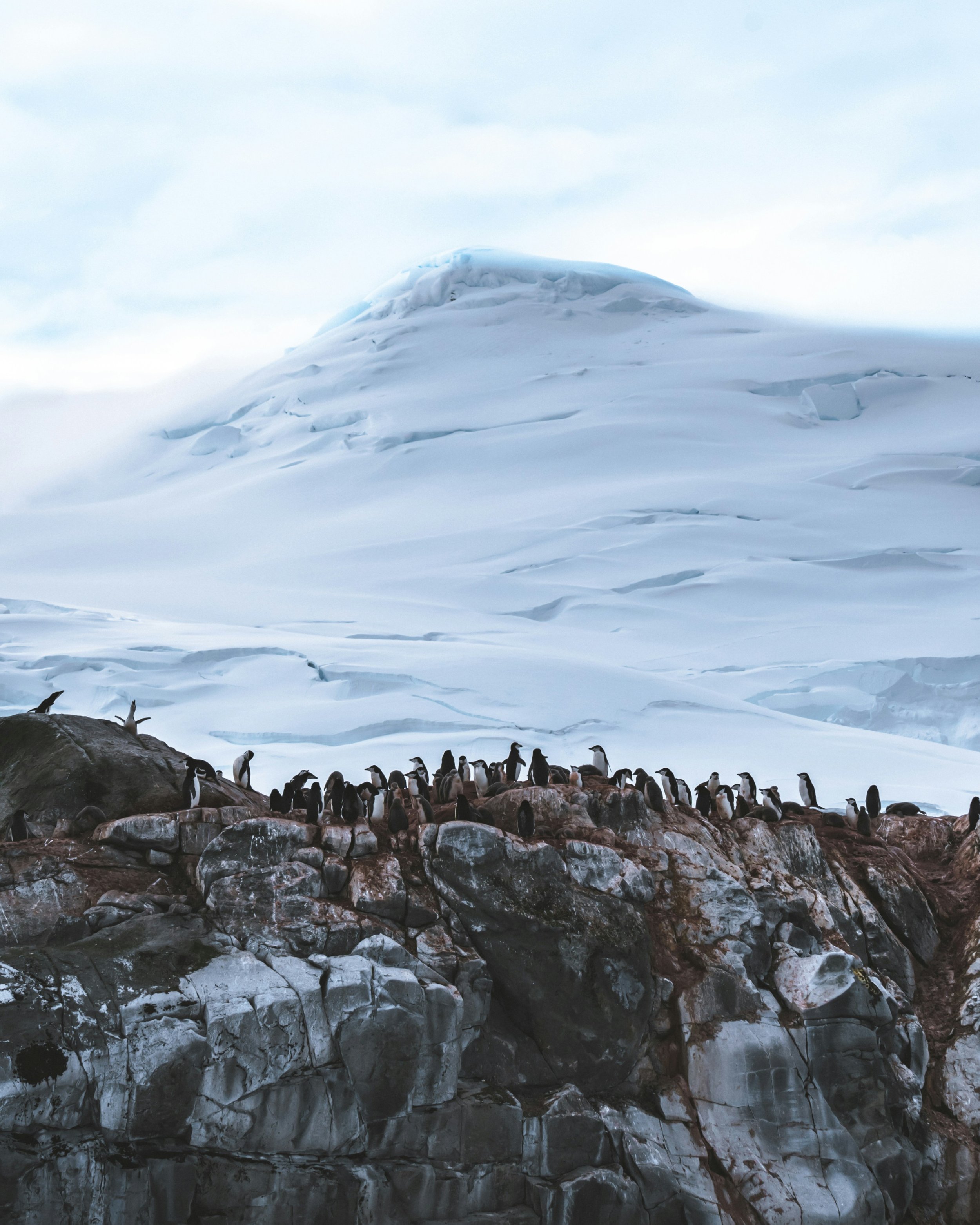 Antartica1.jpg