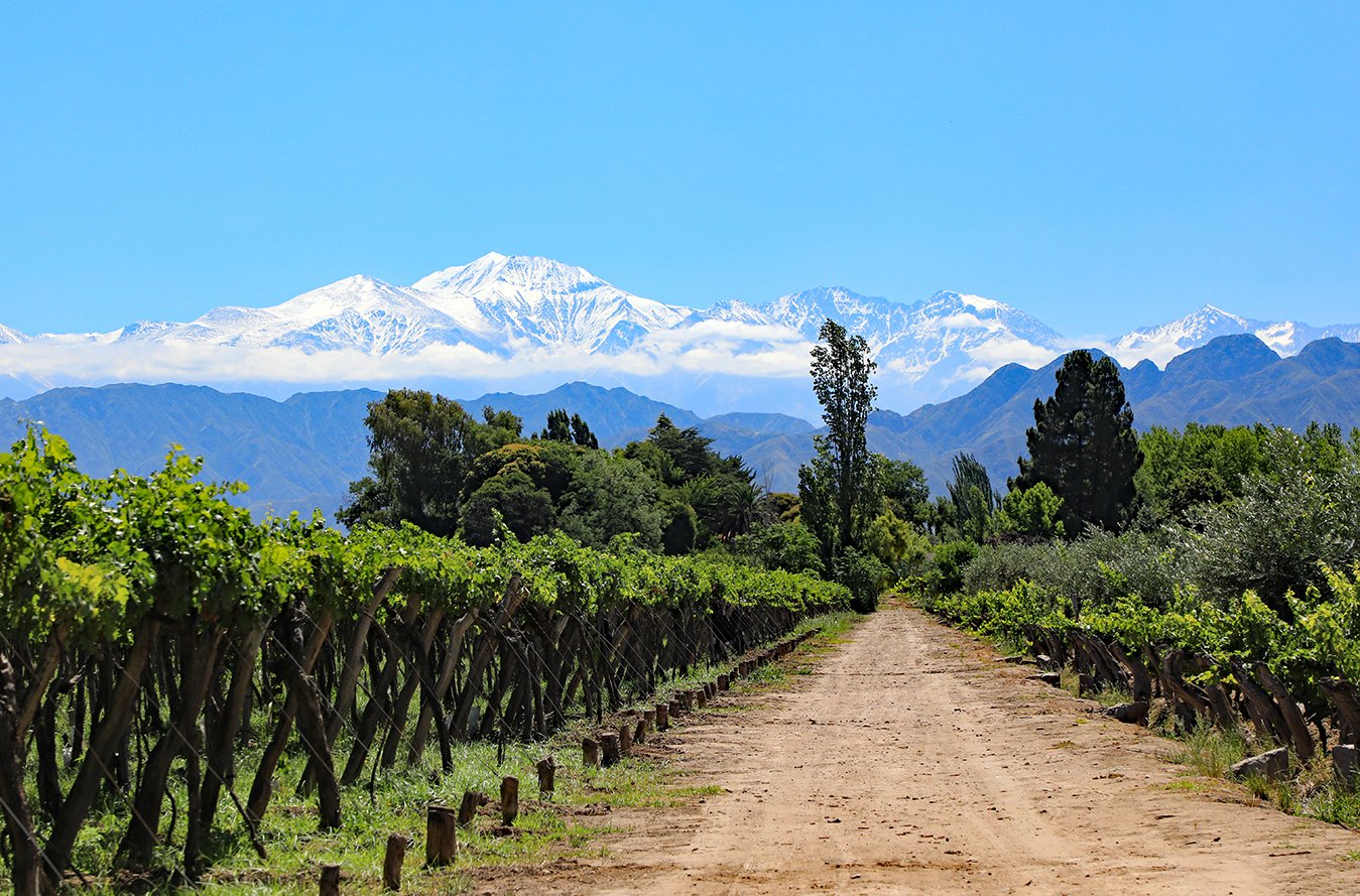 mendoza4.jpeg