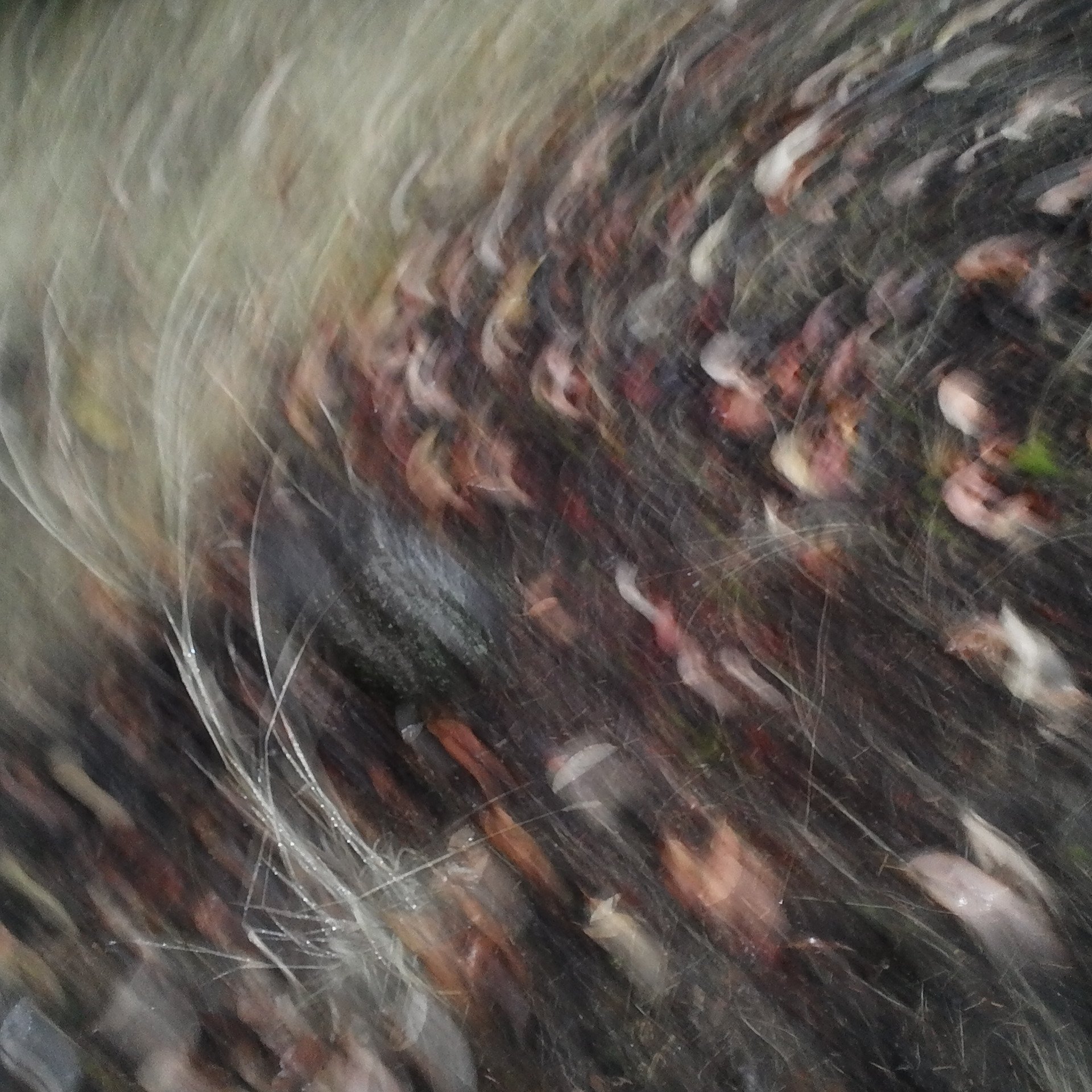 Time Doesn’t Build Assassins in the Blink of a Chainsaw: On Writing Whoosh
