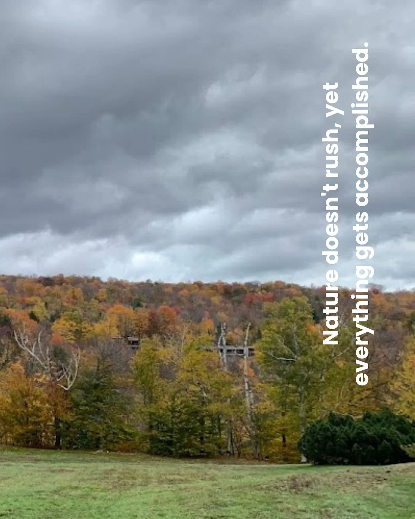 The seasons taught me what no productivity system could - that periods of visible growth require periods of invisible preparation.
What appears as delay is often essential development beneath the surface.
I want to identify one area where I&rsquo