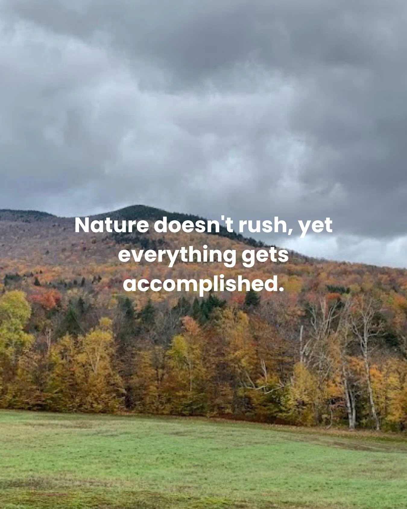 The seasons taught me what no productivity system could - that periods of visible growth require periods of invisible preparation.
What appears as delay is often essential development beneath the surface.
I want to identify one area where I&rsquo