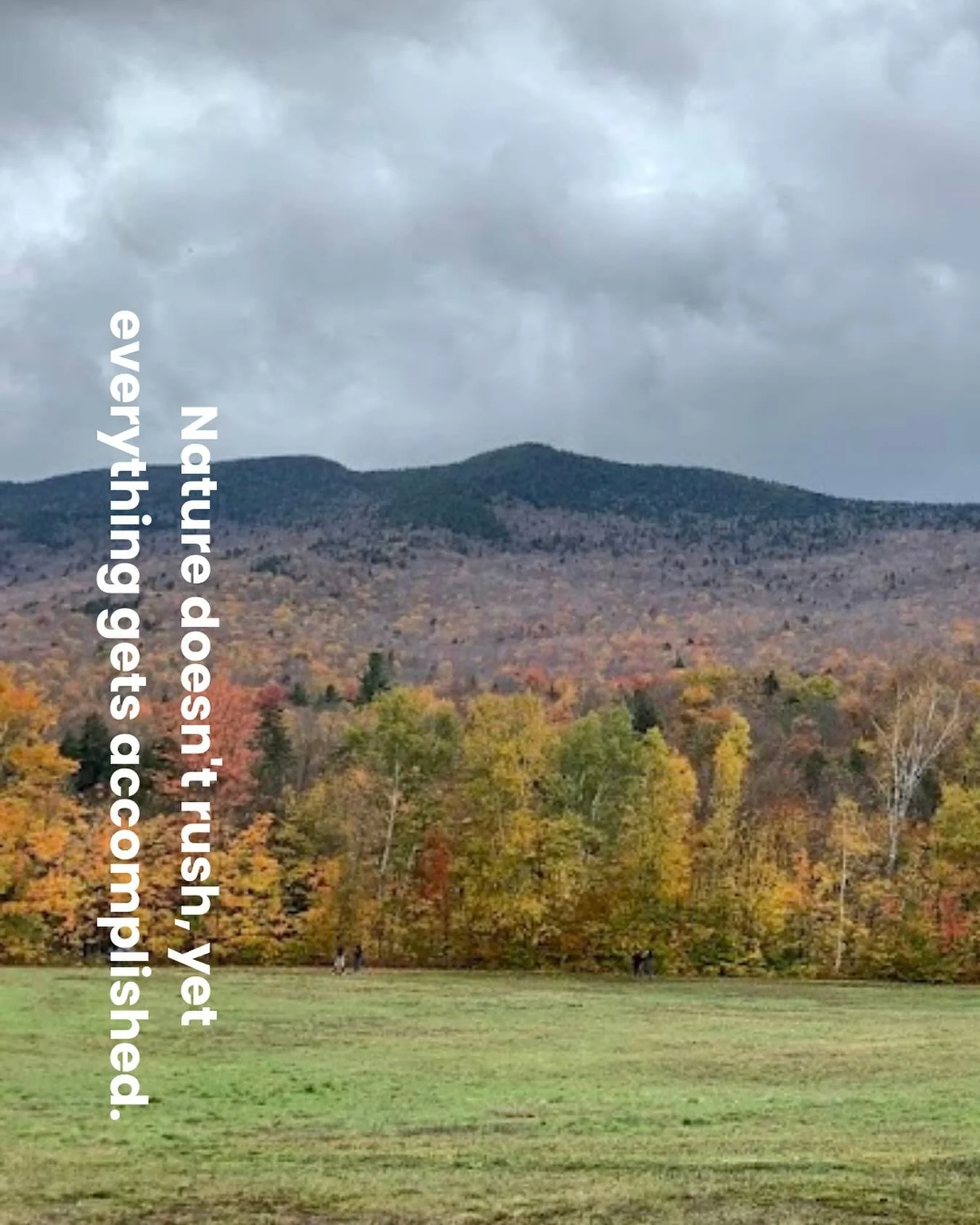 The seasons taught me what no productivity system could - that periods of visible growth require periods of invisible preparation.
What appears as delay is often essential development beneath the surface.
I want to identify one area where I&rsquo