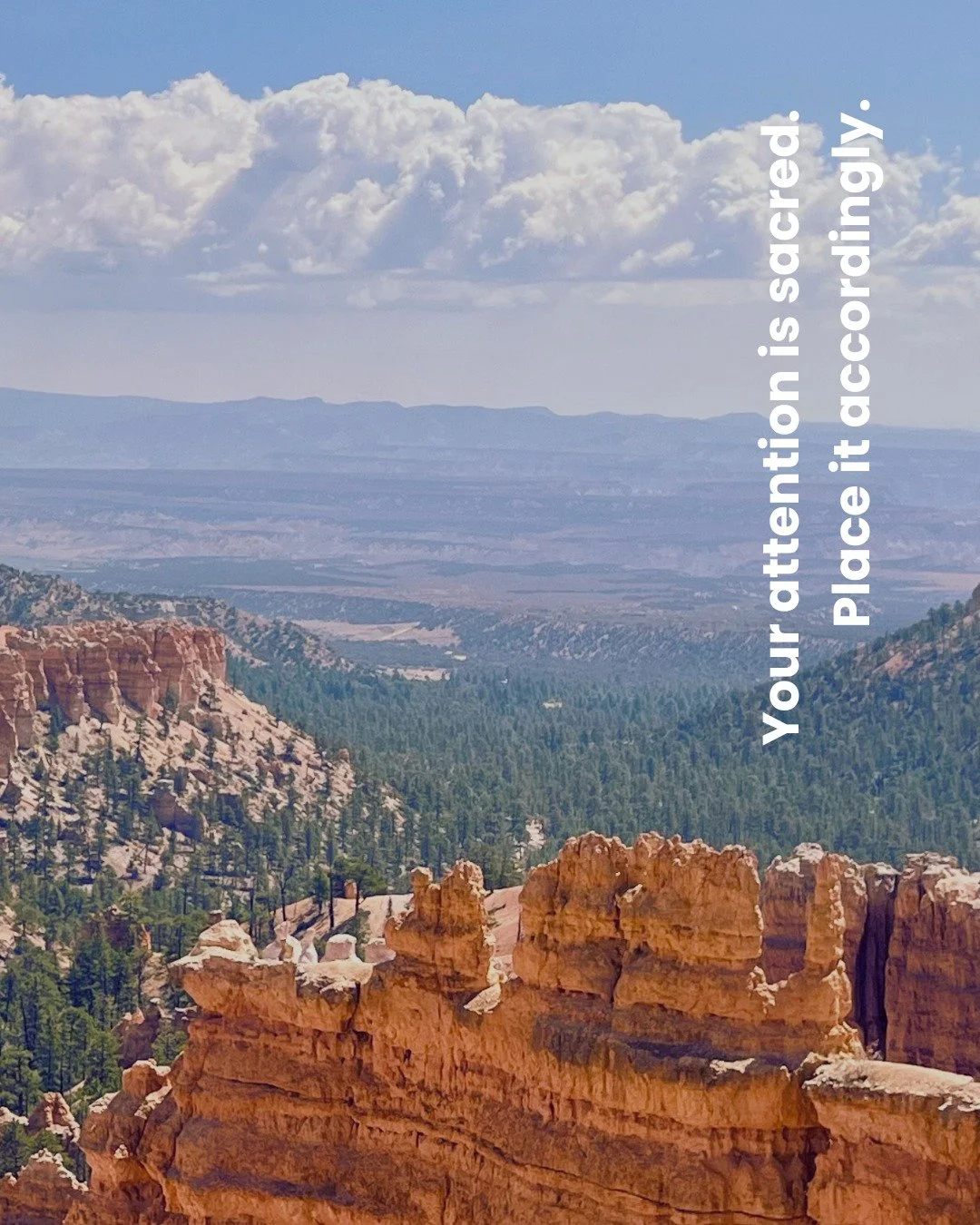 I followed systems to capture attention before I understood how precious it is.
Now I recognize that where we place our focus literally creates our reality.
Now I audit every day where my attention goes.
By noticing what pulls you away from wha