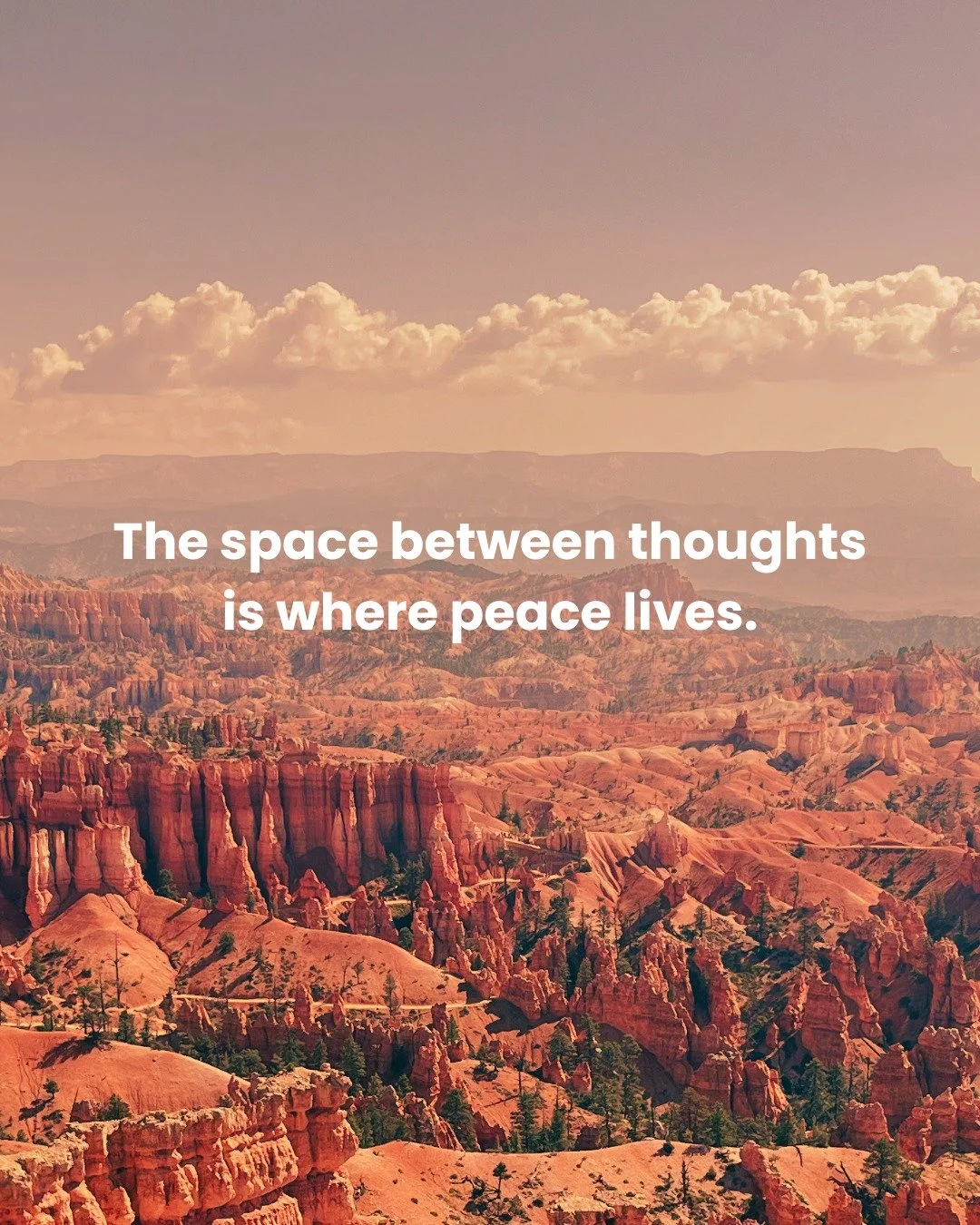 I once believed peace would come through solving all my problems.
Now I understand it exists in the moments between my thoughts about those problems.
Practice noticing the tiny spaces between your thoughts.
They're brief at first, but with atte