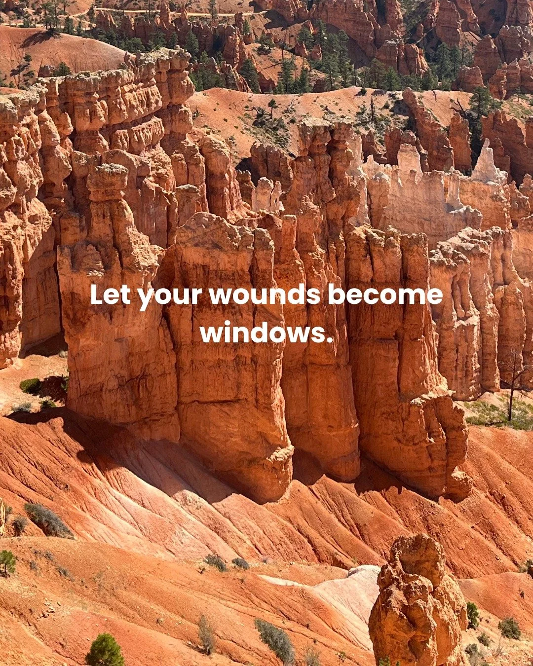 The parts of my journey that hurt the most became my greatest teachers.
Each disappointment, rejection, and failure cracked me open to a truth I couldn't see before.
What becomes possible when you look through them rather than at them?
#Emotion