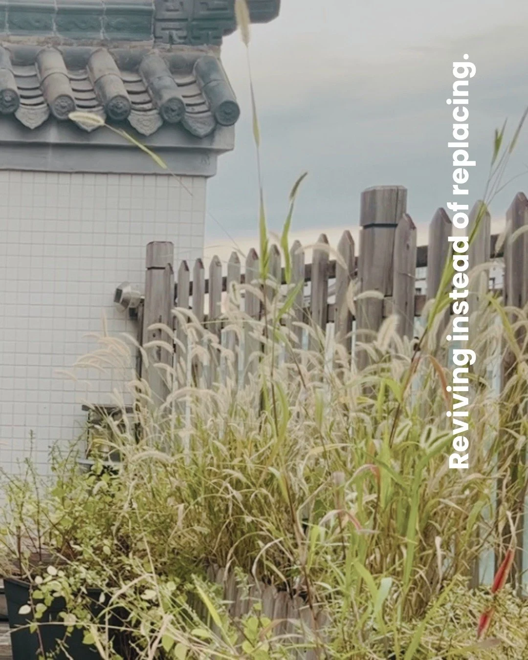 I’m reviving a rusty plant shelf instead of tossing it away.
A few years ago, I would’ve just replaced it with something new—without a second thought.
The world tells us to always want more, buy more, replace more.
But what if