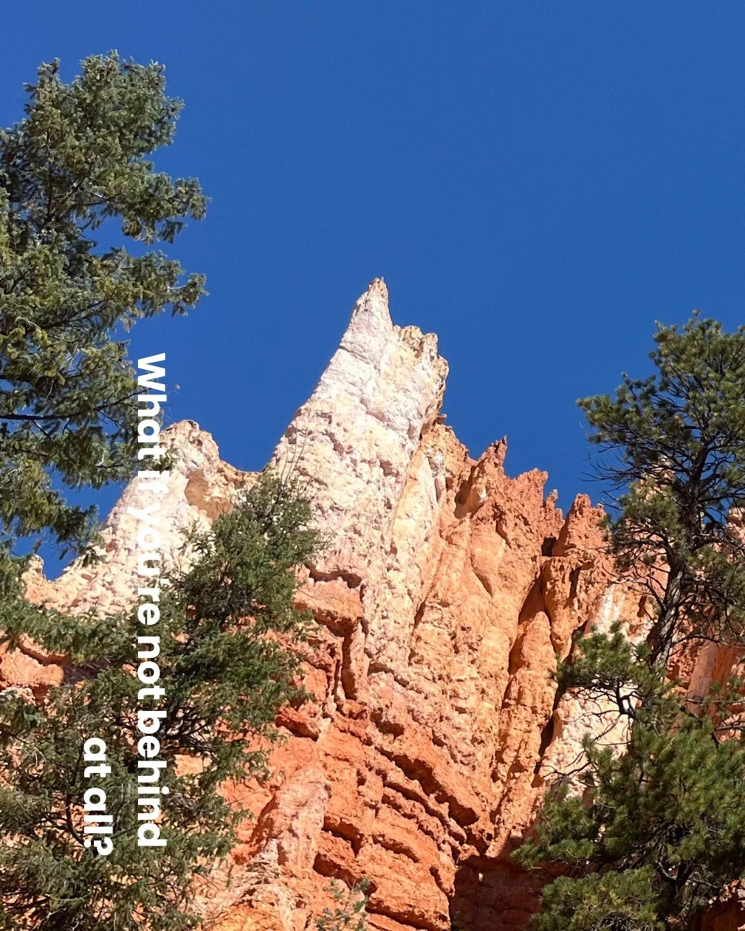 I spent years feeling like I was running to catch up to some invisible timeline of achievement.
The greatest freedom came when I realized the timeline itself was invented.
I believe that you're exactly where you need to be, right on time.
#Divi